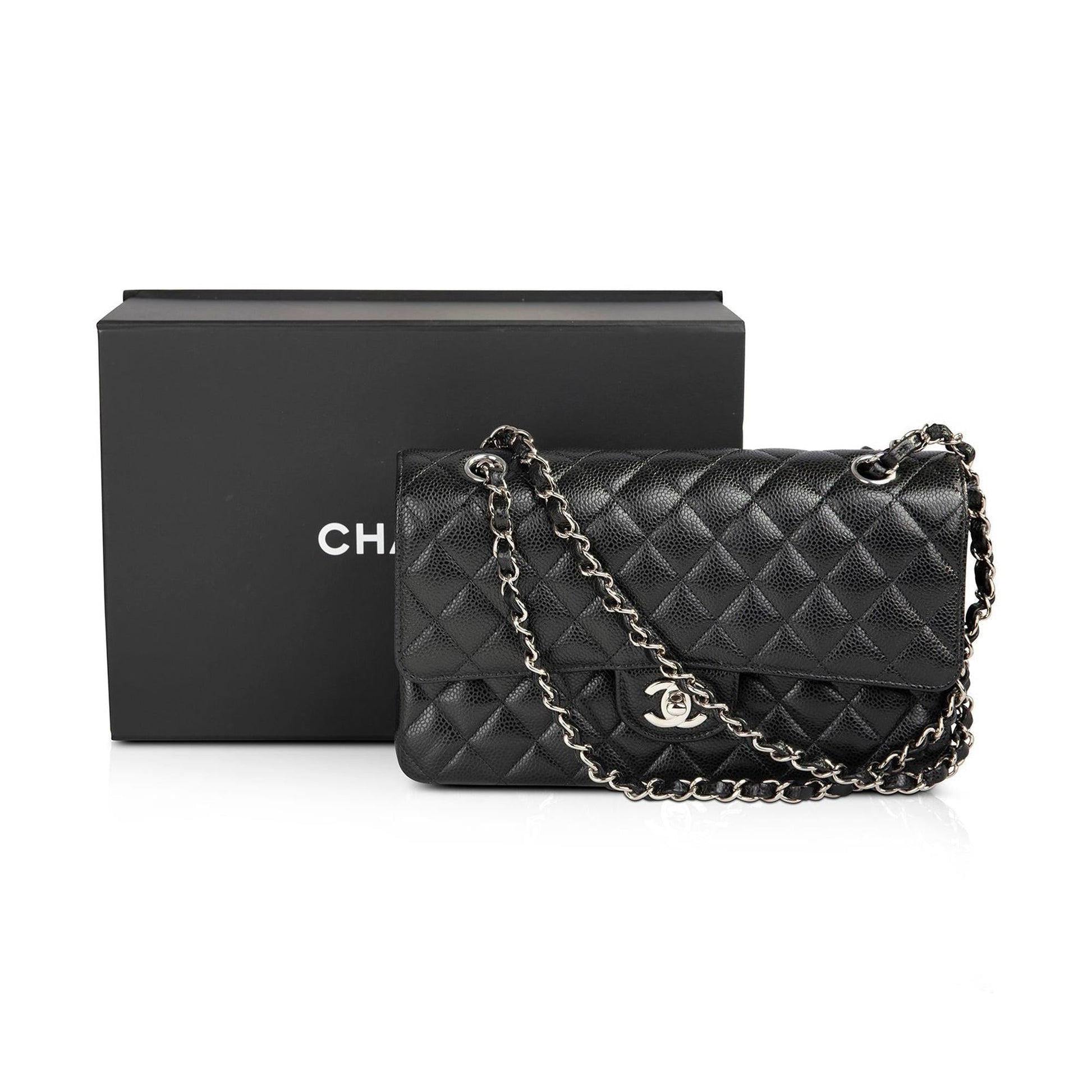 Chanel Classic Double Flap Travel Bag 5