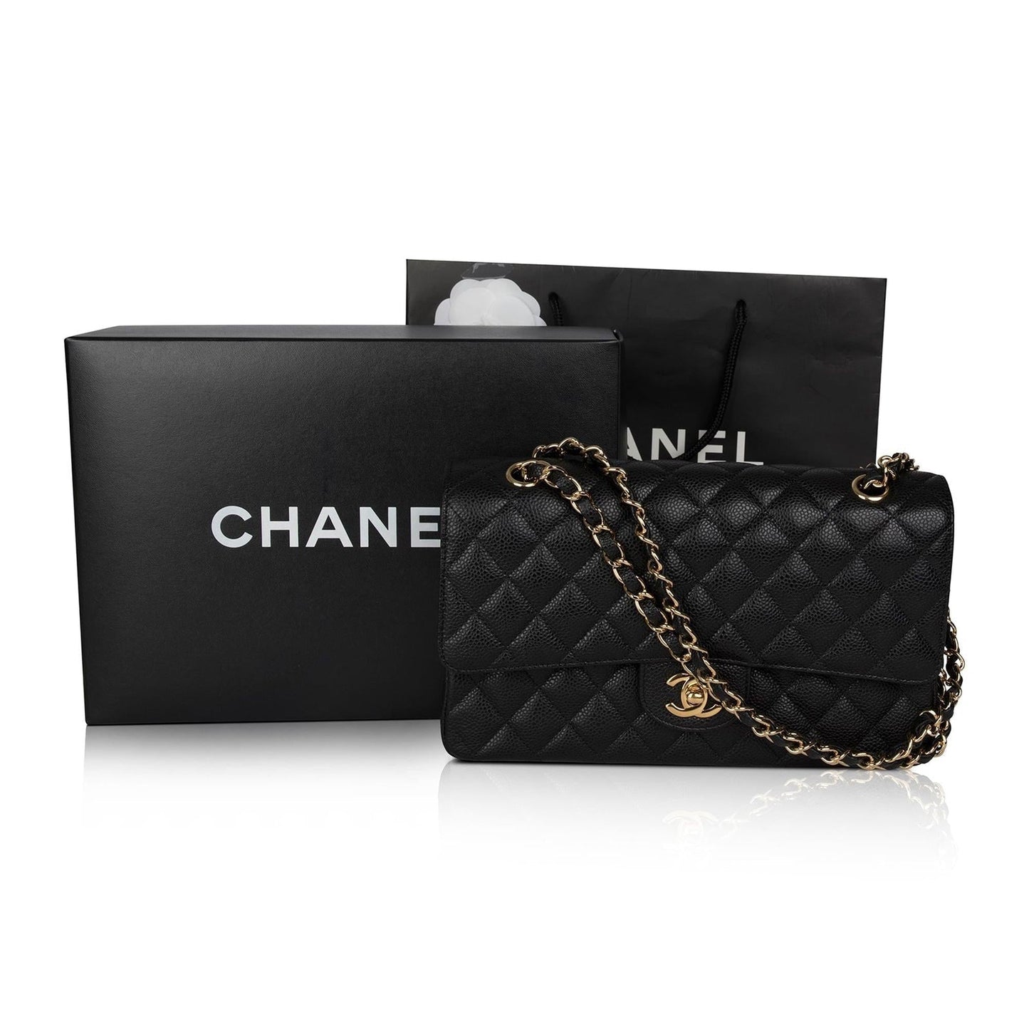 Chanel Classic Double Flap Travel Bag 6