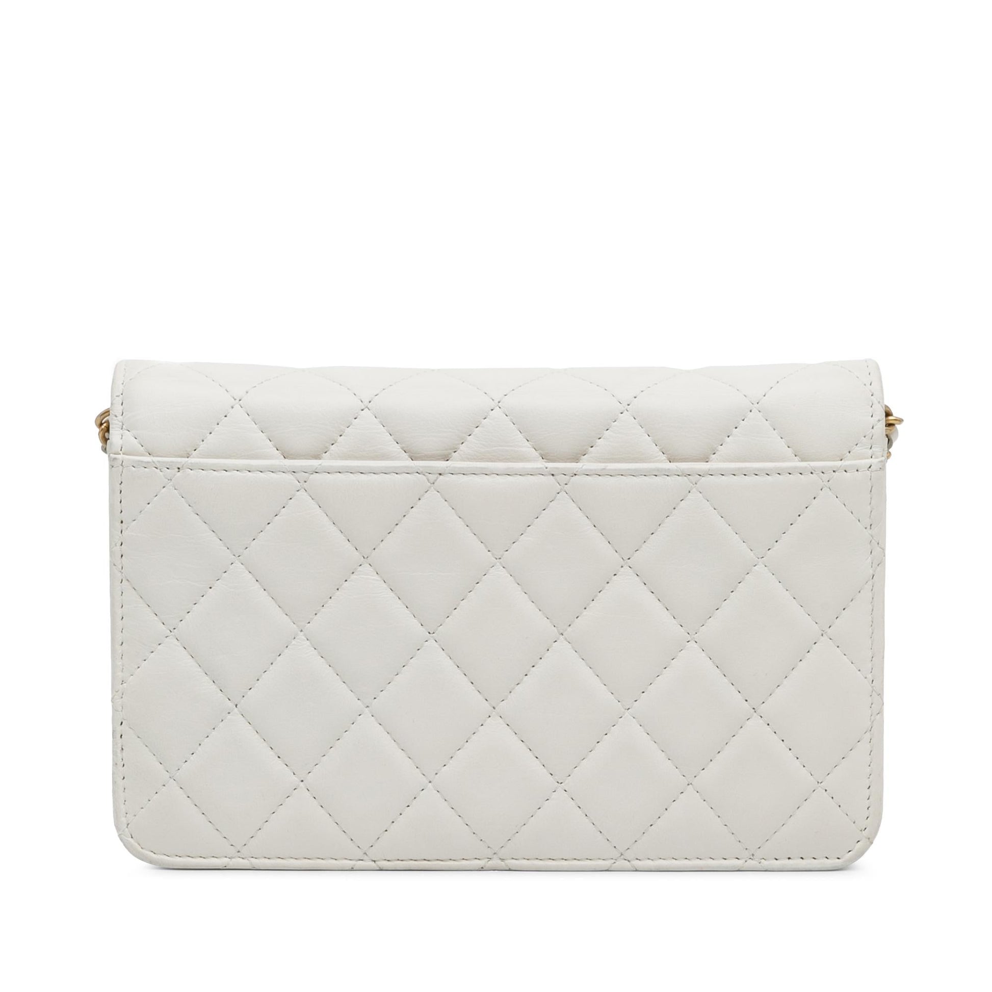 Chanel Enchained Flap on Wallet Case