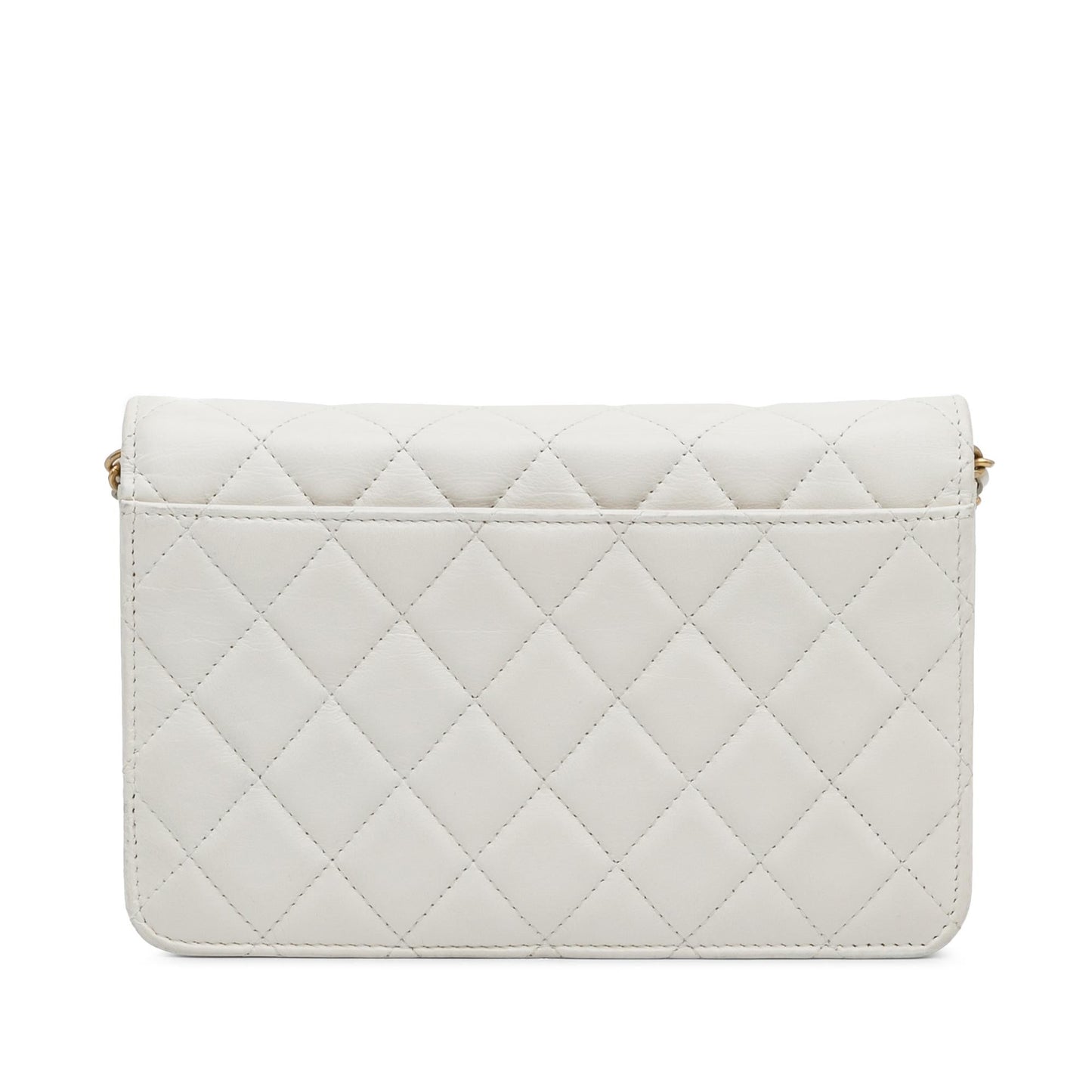 Chanel Enchained Flap on Wallet Case Chain 1