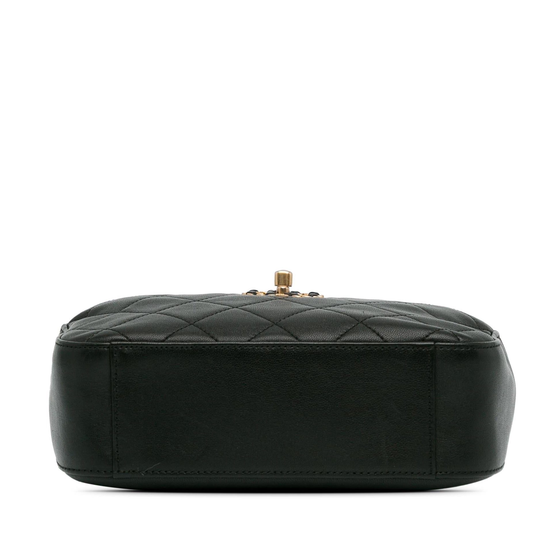 Chanel Goatskin 19 Camera Case (SHG-yHuBpW)