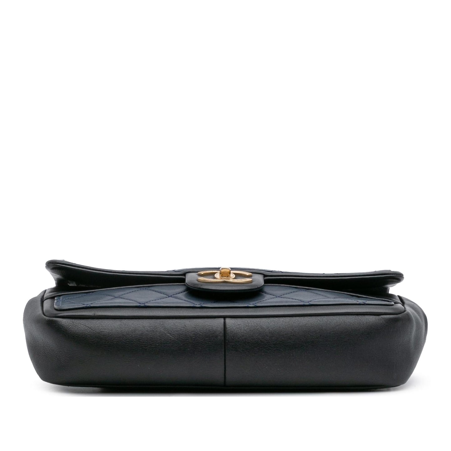 Chanel Bicolor Calfskin Graphic Flap Handbag