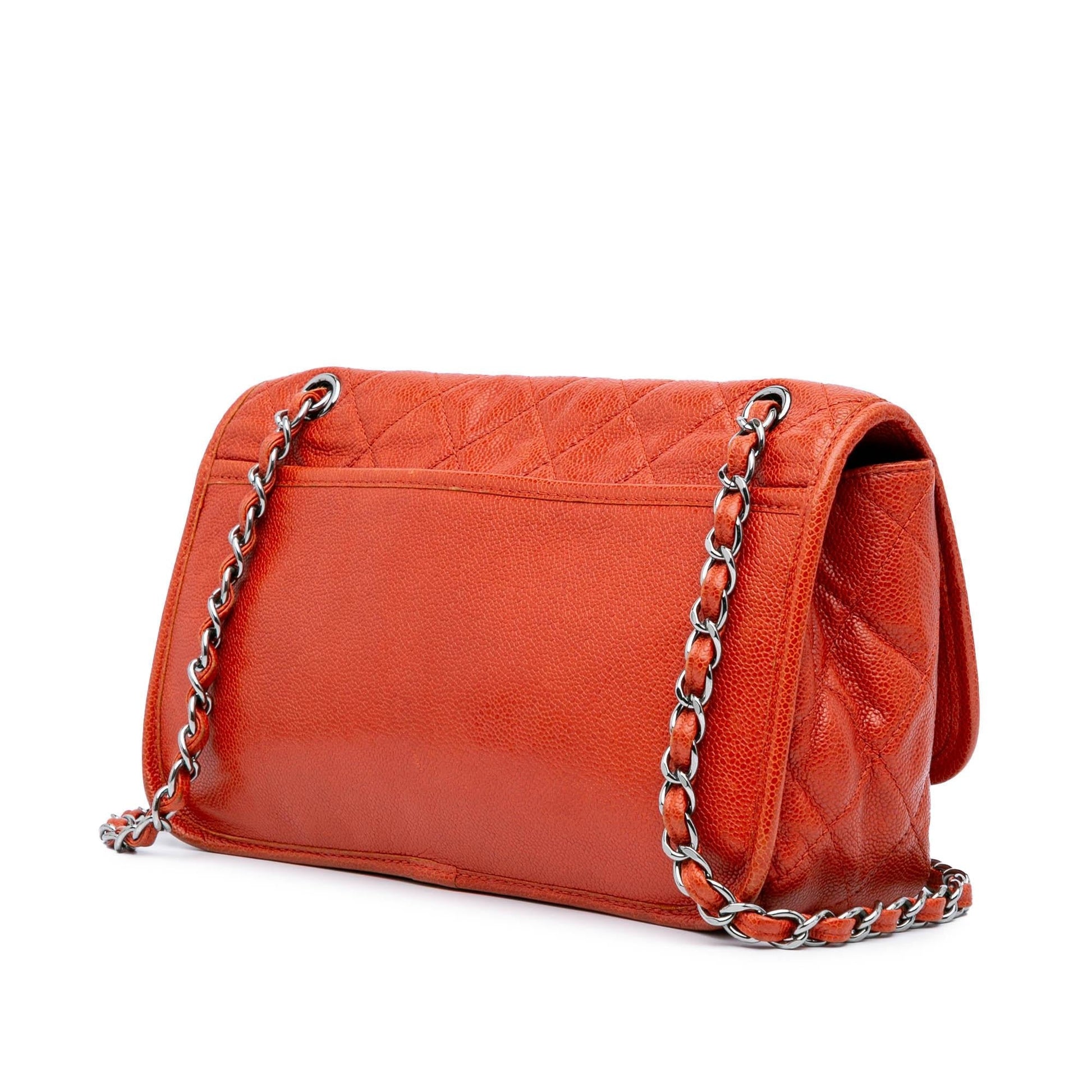 Chanel Grained Calfskin Natural Beauty Flap Handbag Flap 1