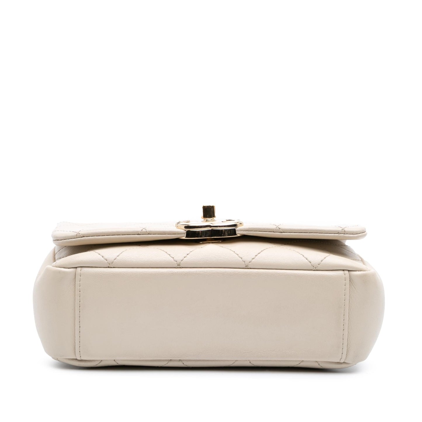 Chanel Lambskin Twist Enamel CC Flap Handbag 6