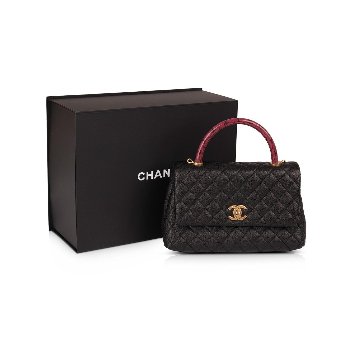 Chanel Python-Trimmed Coco Handle Travel Bag