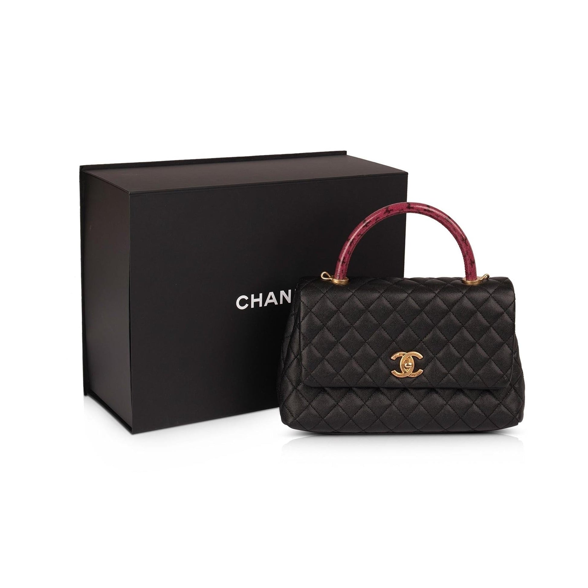 Chanel Python-Trimmed Coco Handle Travel Bag