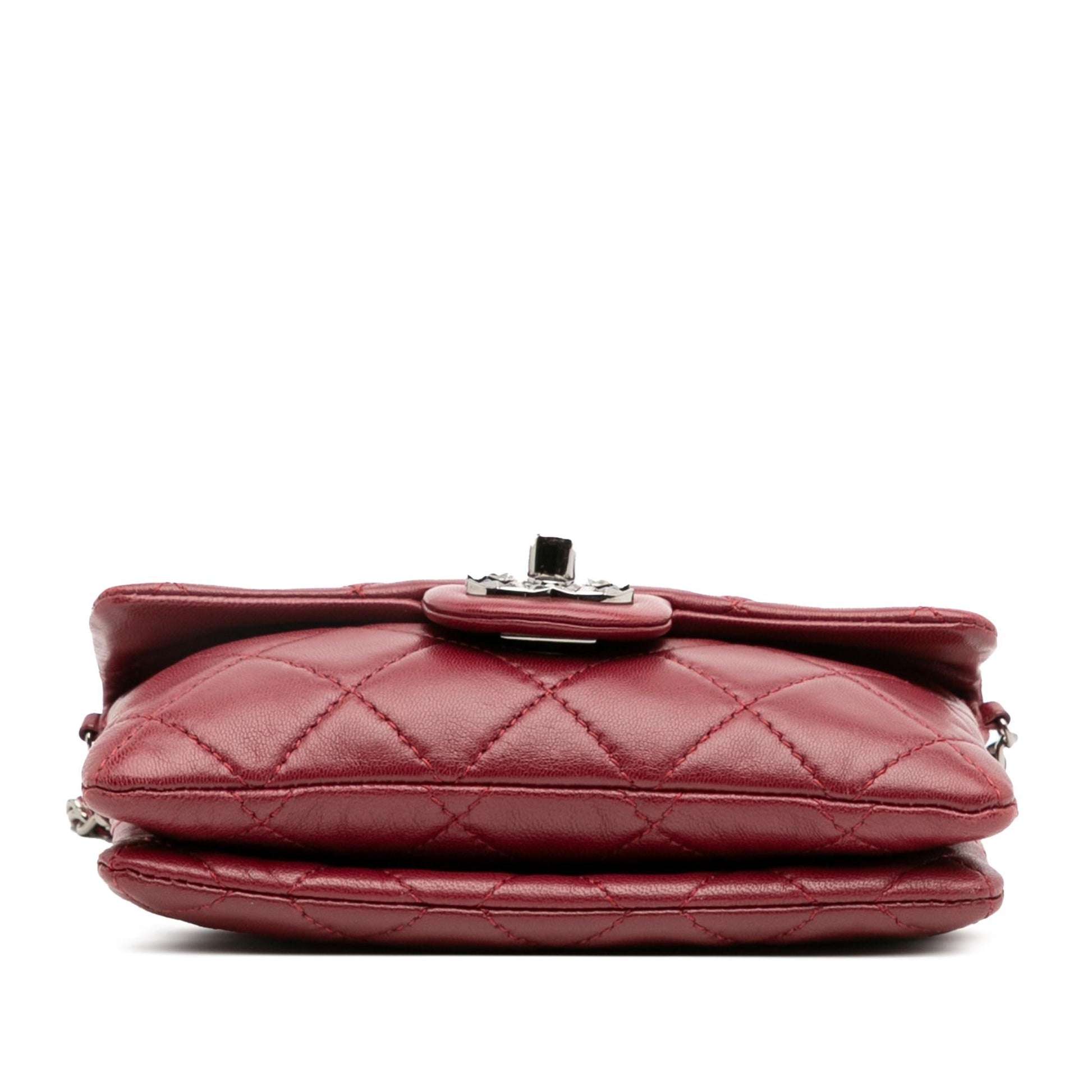 Chanel Lambskin Mineral Nights Flap Mini Bag