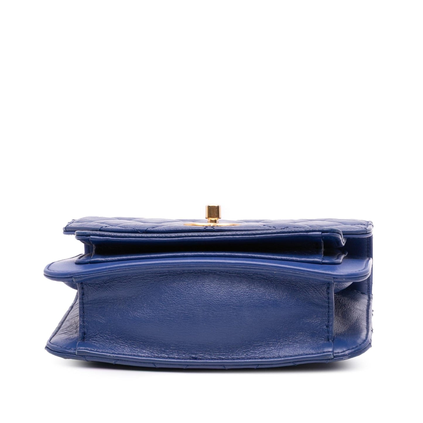 Chanel Quilted Aged Calfskin Caviar Handle Flap Mini Bag