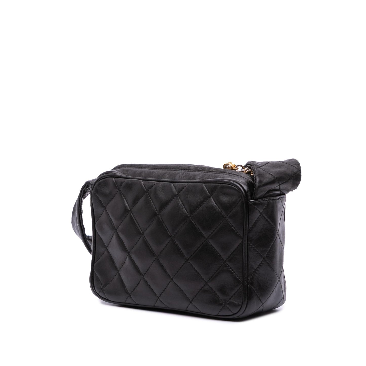 Chanel Quilted Lambskin Camera Crossbody Bag Crossbody 1