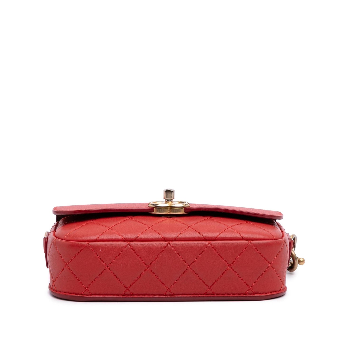 Chanel Quilted Calfskin Multi Pouching Flap Handbag Flap 1