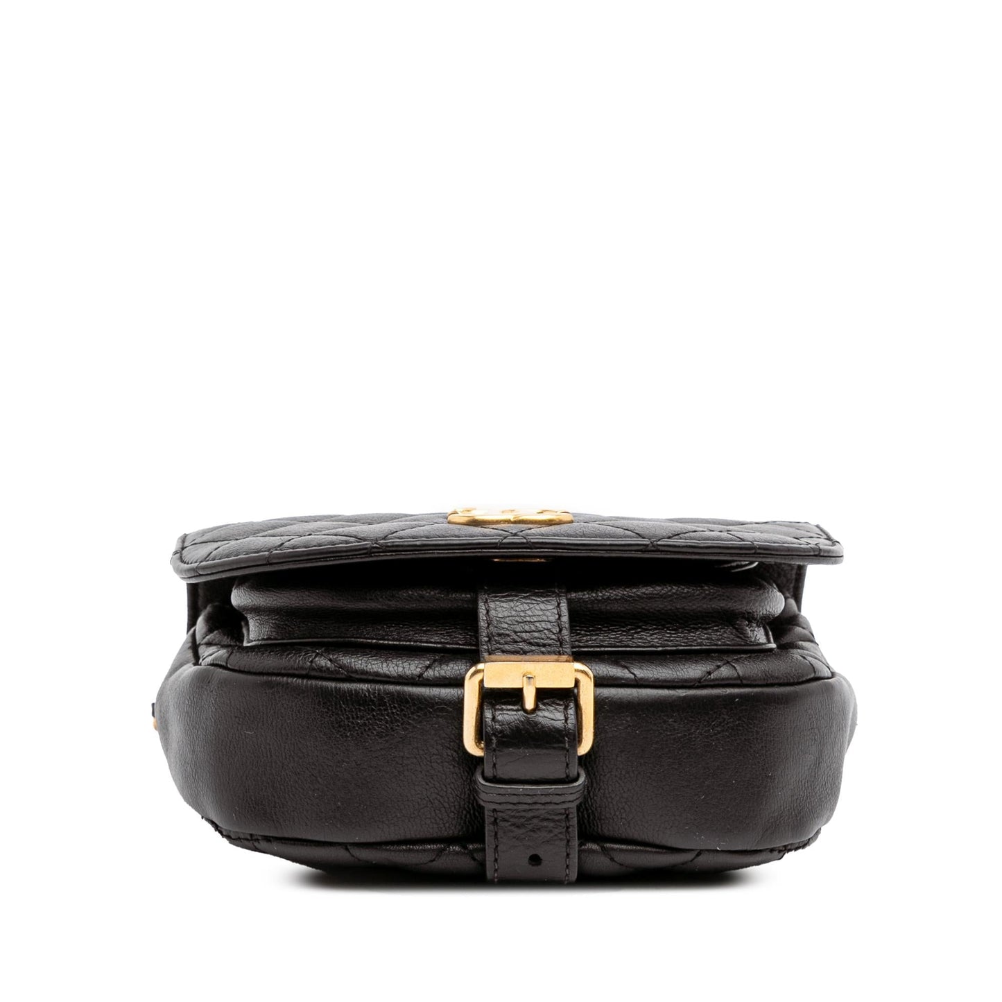 Chanel Quilted Grained Calfskin Casual Trip Messenger Bag Messenger 1