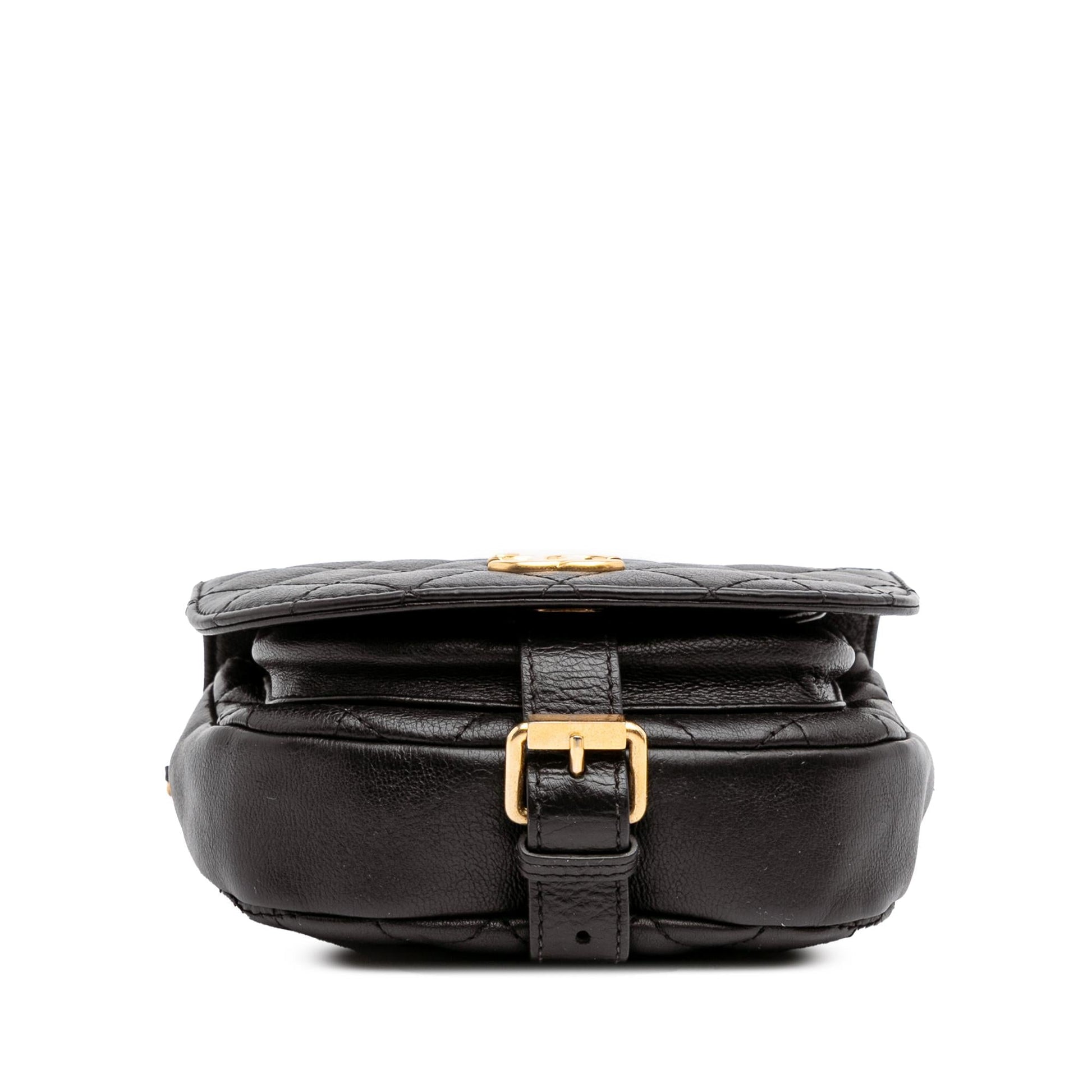 Chanel Quilted Grained Calfskin Casual Trip Messenger Bag Messenger 1