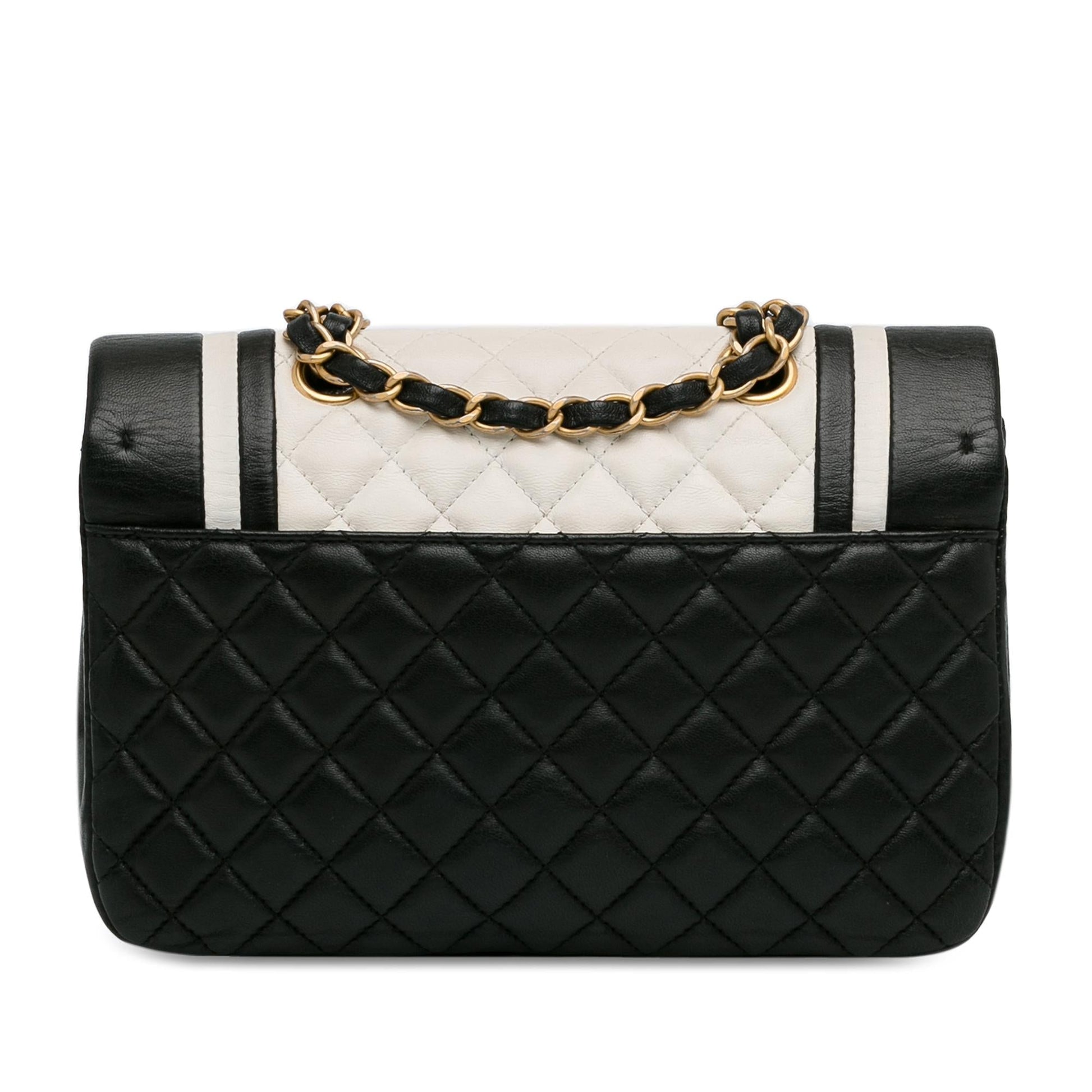 Chanel Small Bicolor Lambskin Paris Cosmopolite Flap (SHG-yTuQ45)