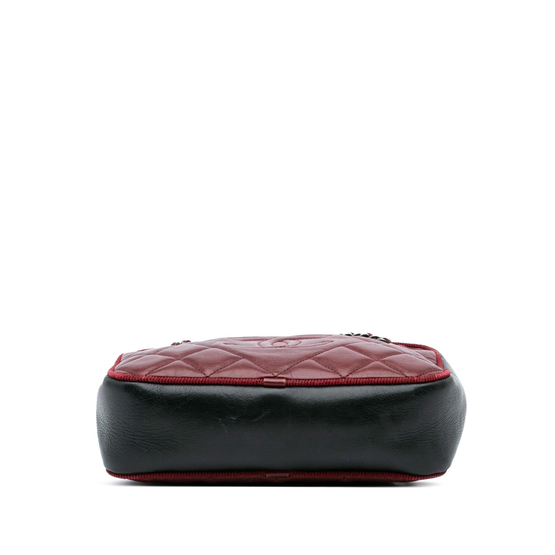 Chanel Bicolor Quilted Calfskin Ballerine Camera Small Crossbody Bag