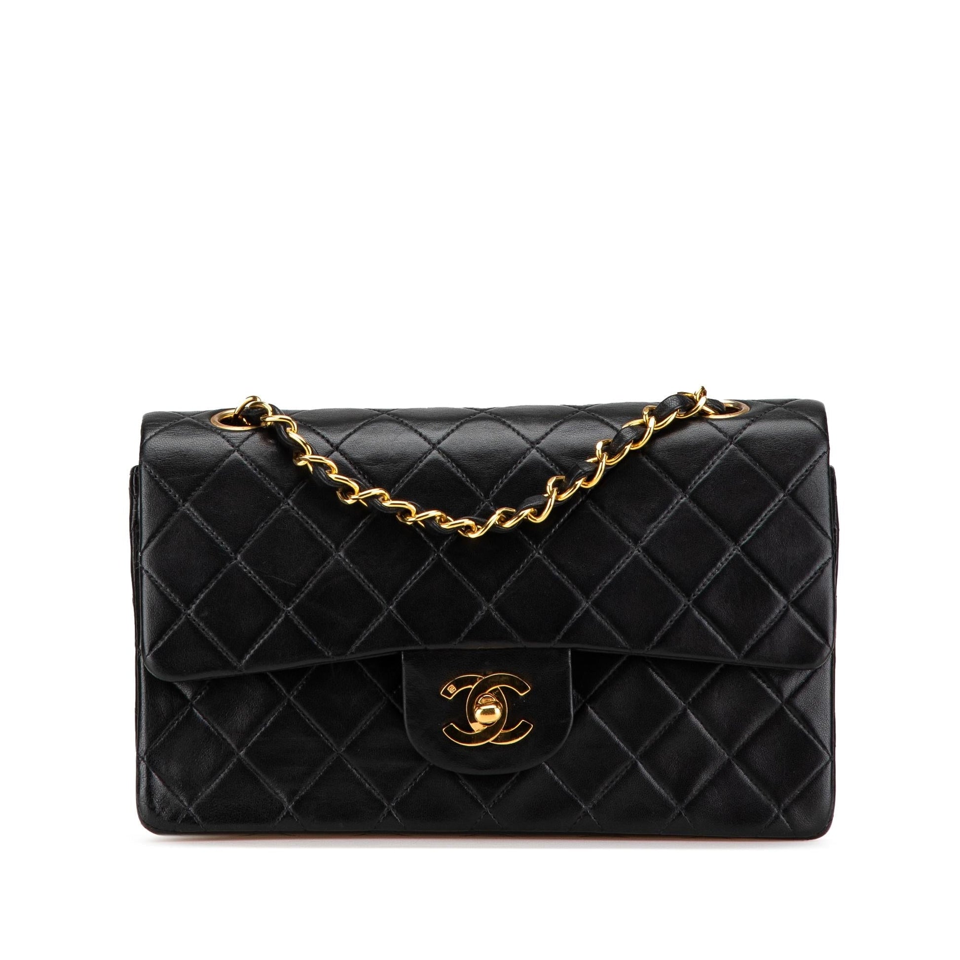 Chanel Classic Lambskin Double Flap Small Handbag Double Flap