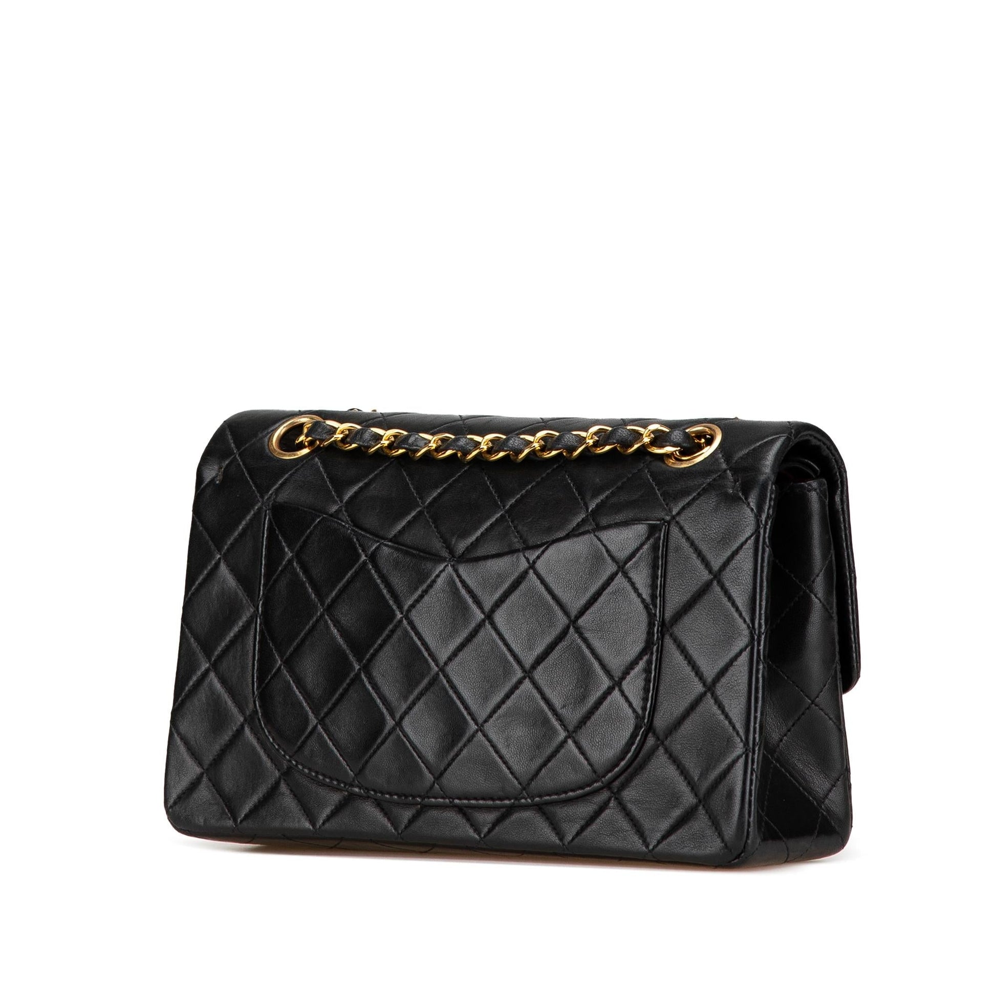 Chanel Classic Lambskin Double Flap Small Handbag Double Flap