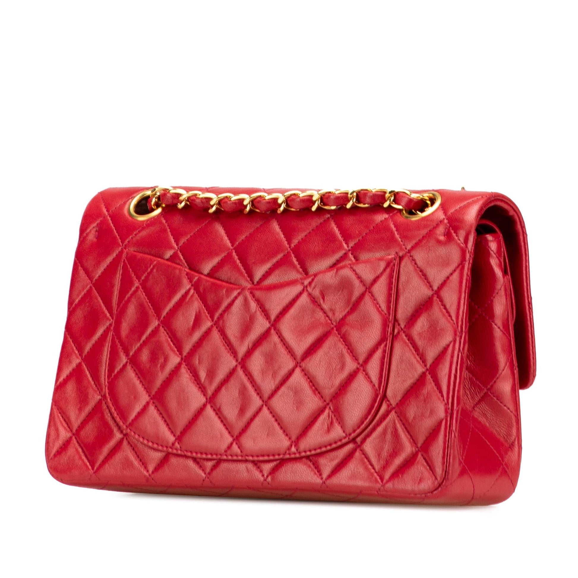 Chanel Classic Lambskin Double Flap Small Handbag Flap 11