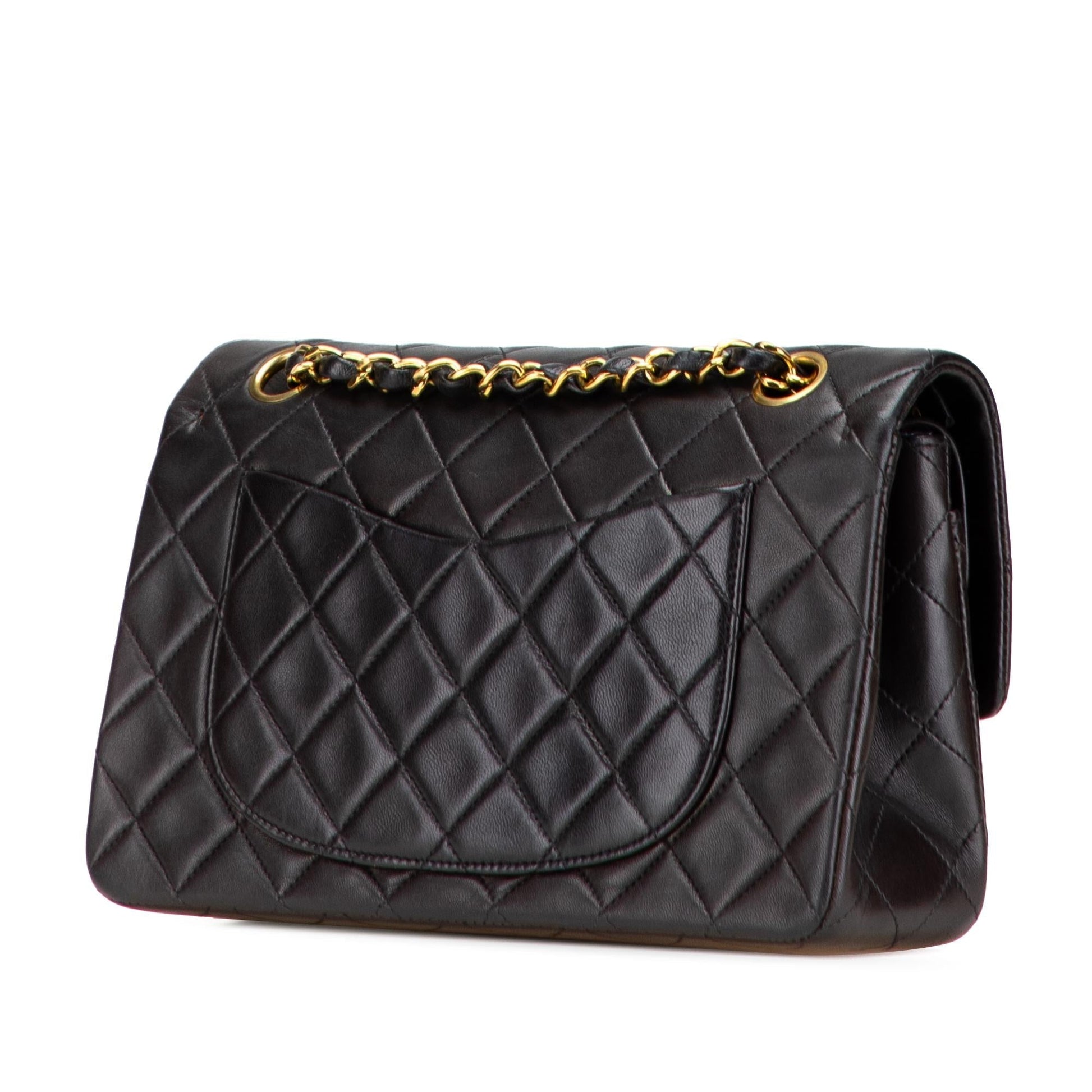 Chanel Classic Lambskin Double Flap Small Handbag Flap 12