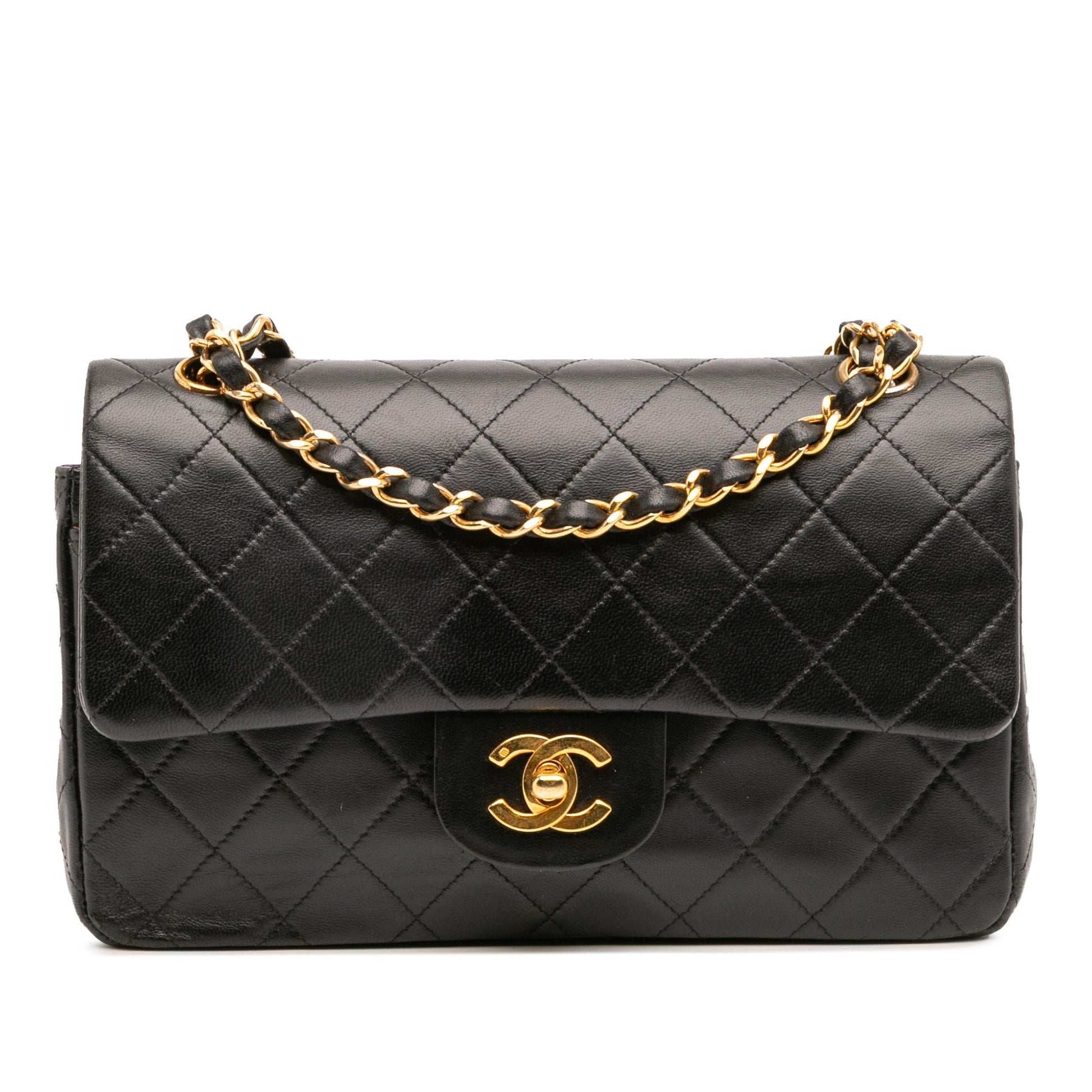 Chanel Classic Lambskin Double Flap Small Handbag Flap 18