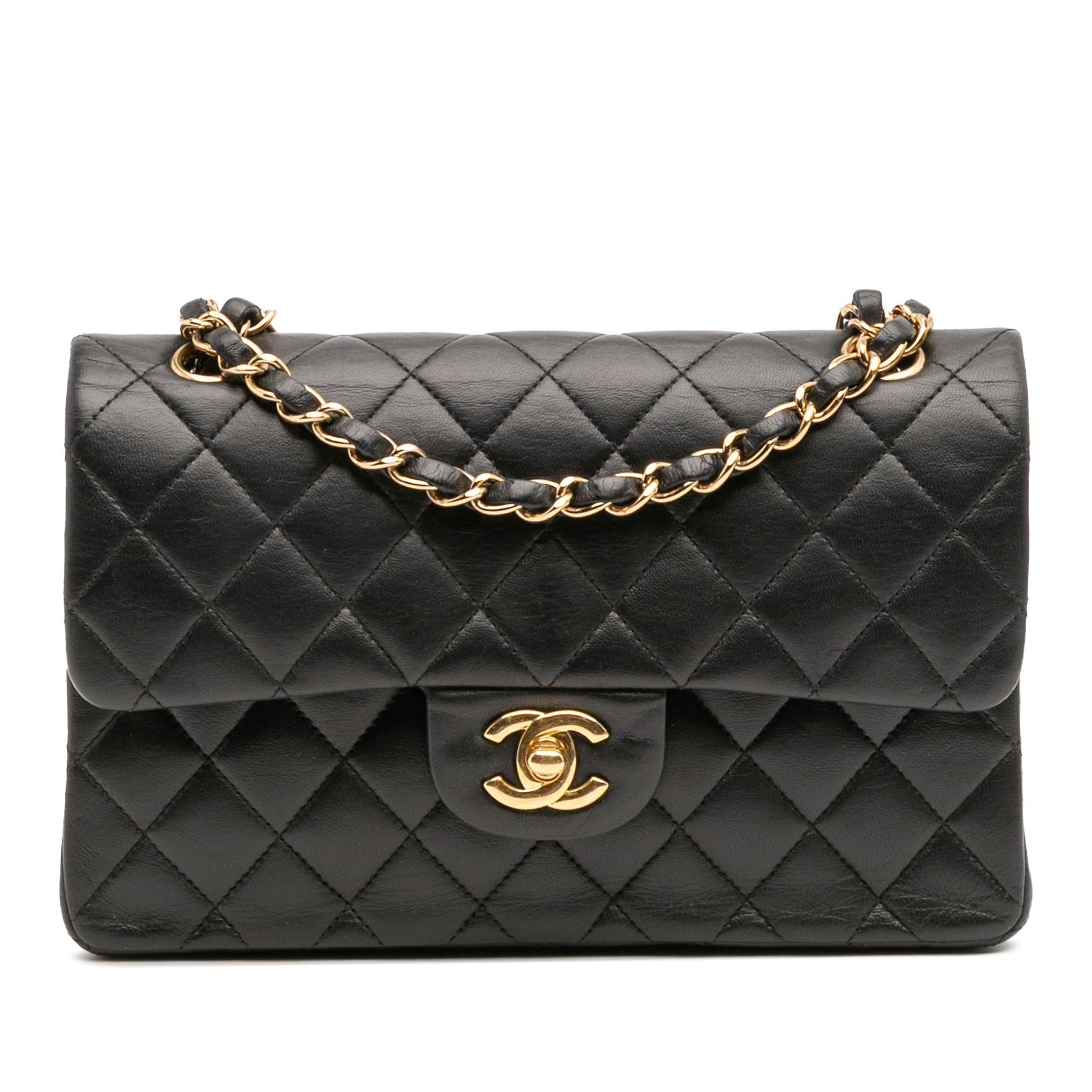 Chanel Classic Lambskin Double Flap Small Handbag Flap 23
