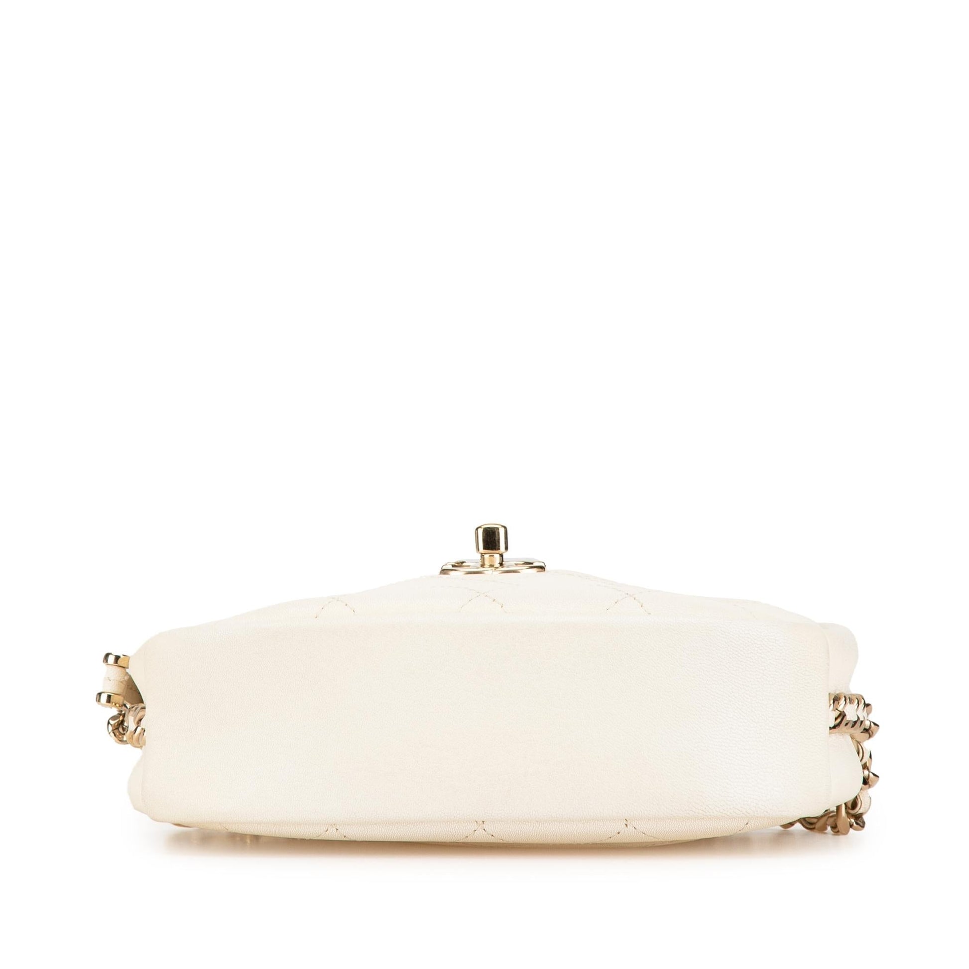 Chanel Quilted Goatskin Casual Trip Camera Small Crossbody Bag