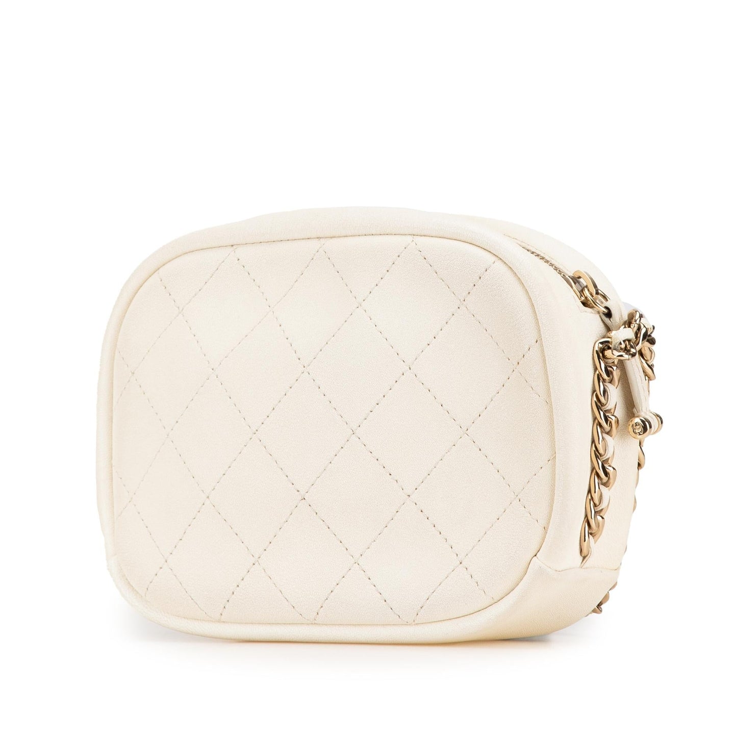 Chanel Quilted Goatskin Casual Trip Camera Small Crossbody Bag