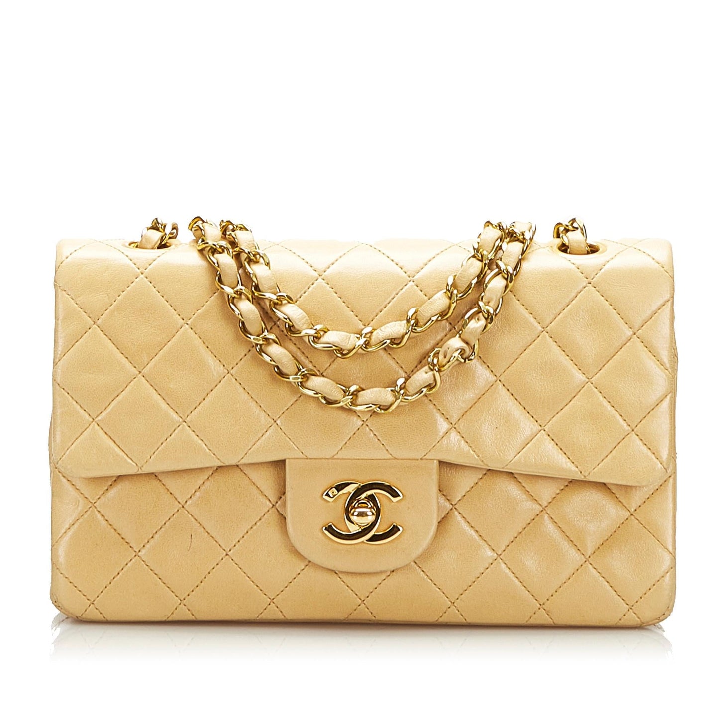Chanel Timeless Classic Flap Double SHG Handbag Double Shg