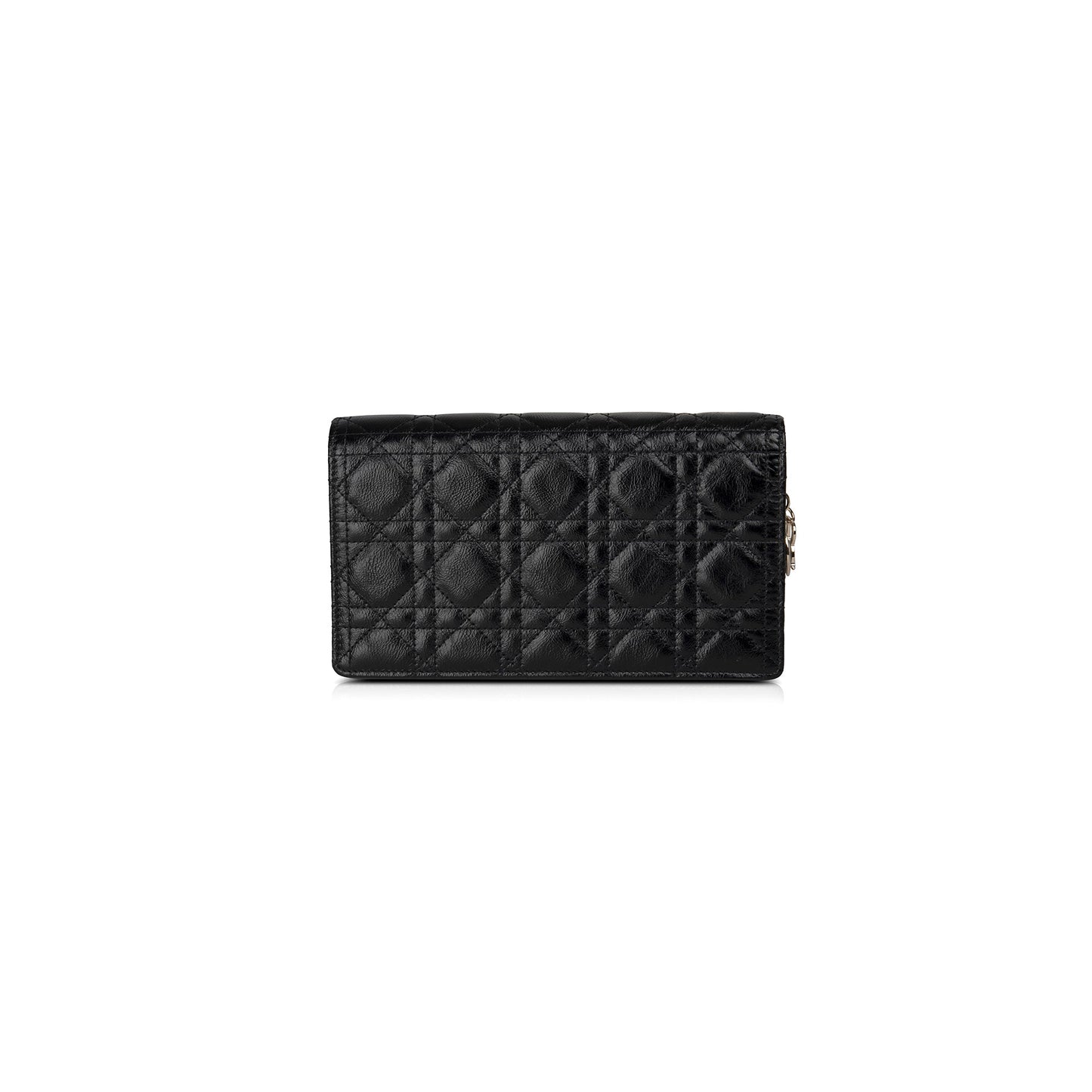Dior Christian Lady Pouch With Handbag Chain Travel Bag