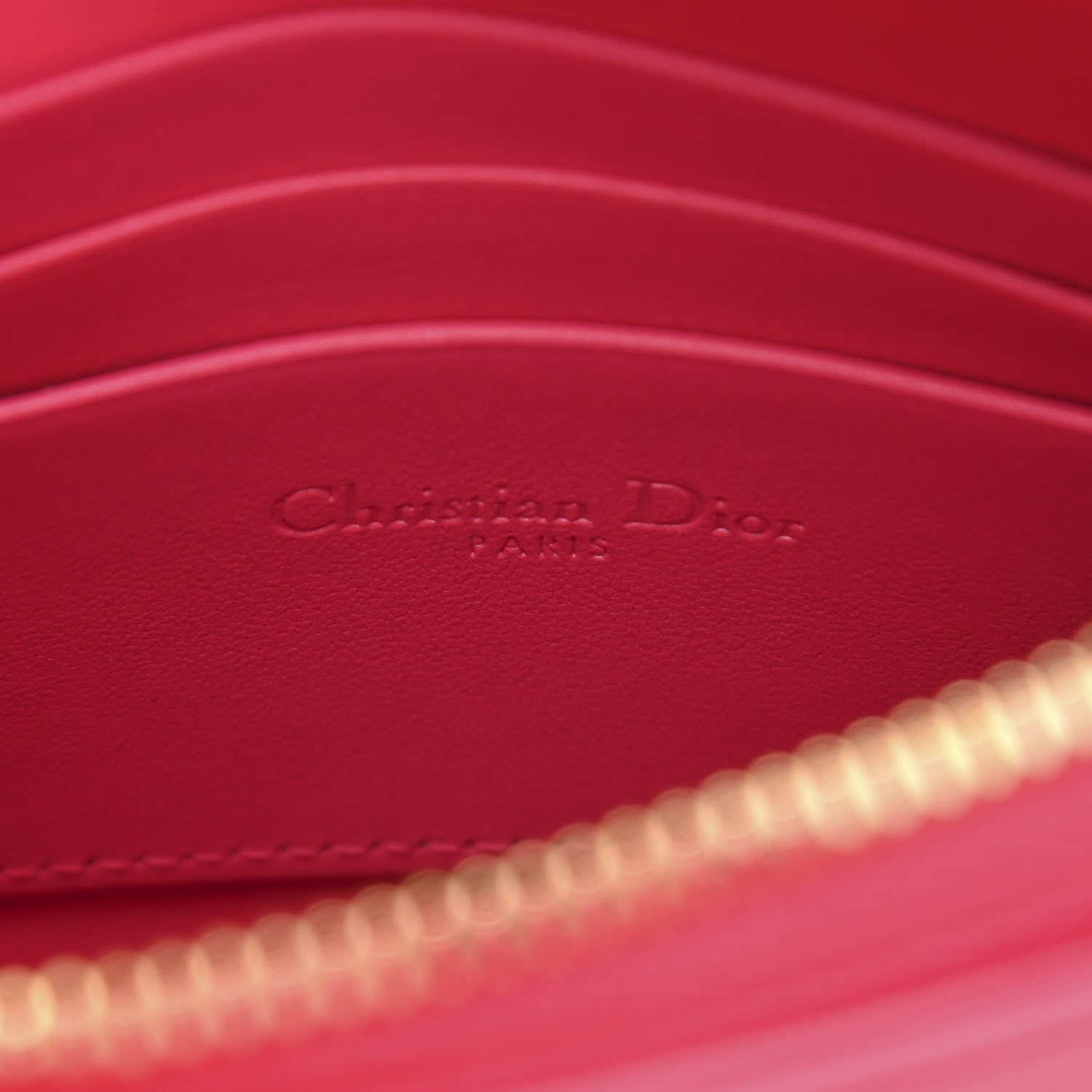 Dior Caro With Handbag Travel Bag