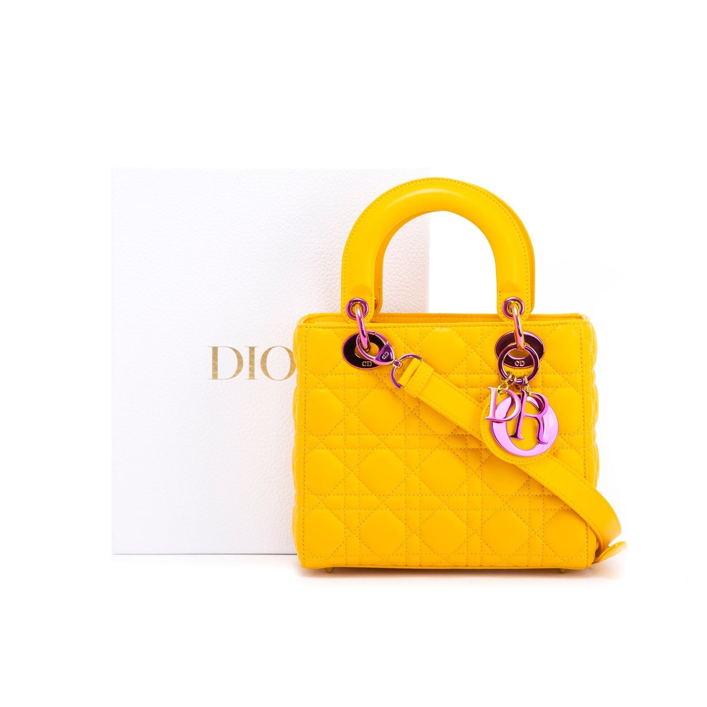 Dior Christian Lady Bag Small Travel Bag