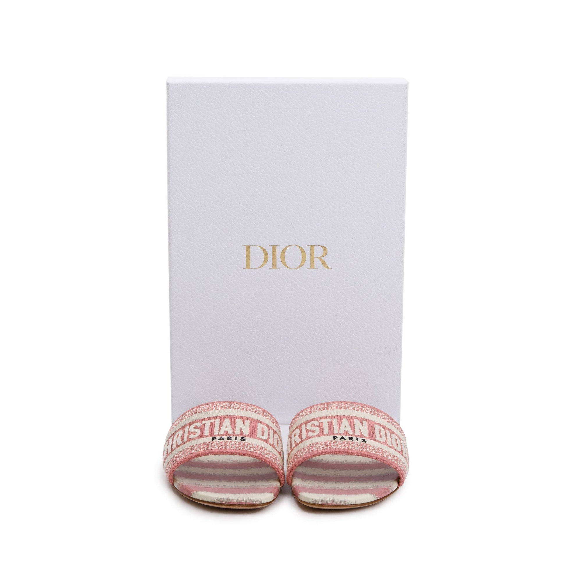 Dior Christian Deep Nude Embroidered Cotton D Stripes Travel Bag