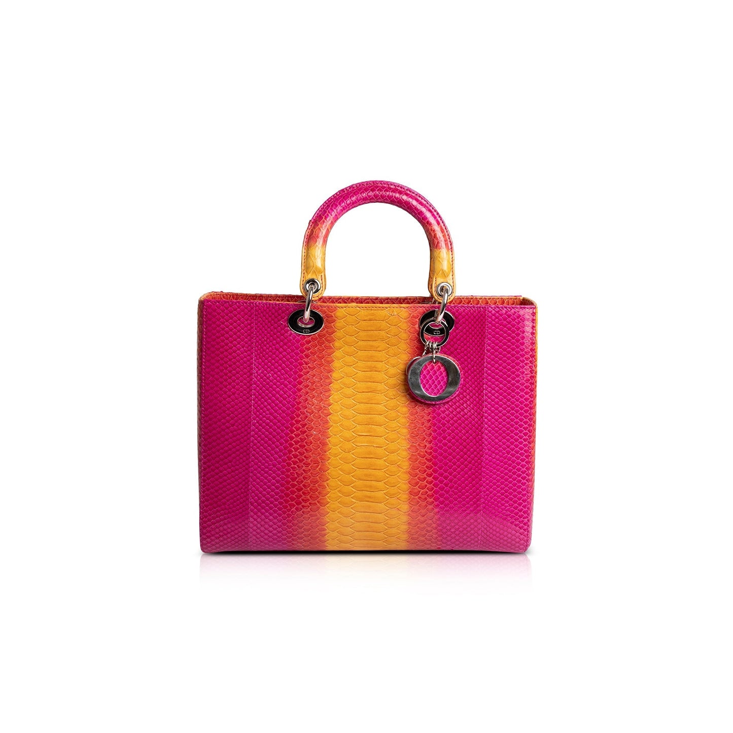 Dior Christian Ombre Python Lady Bag Large Travel Bag