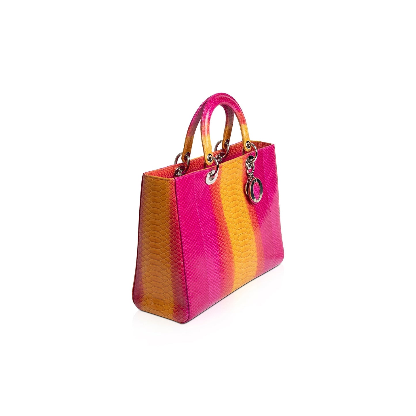 Dior Christian Ombre Python Lady Bag Large Travel Bag