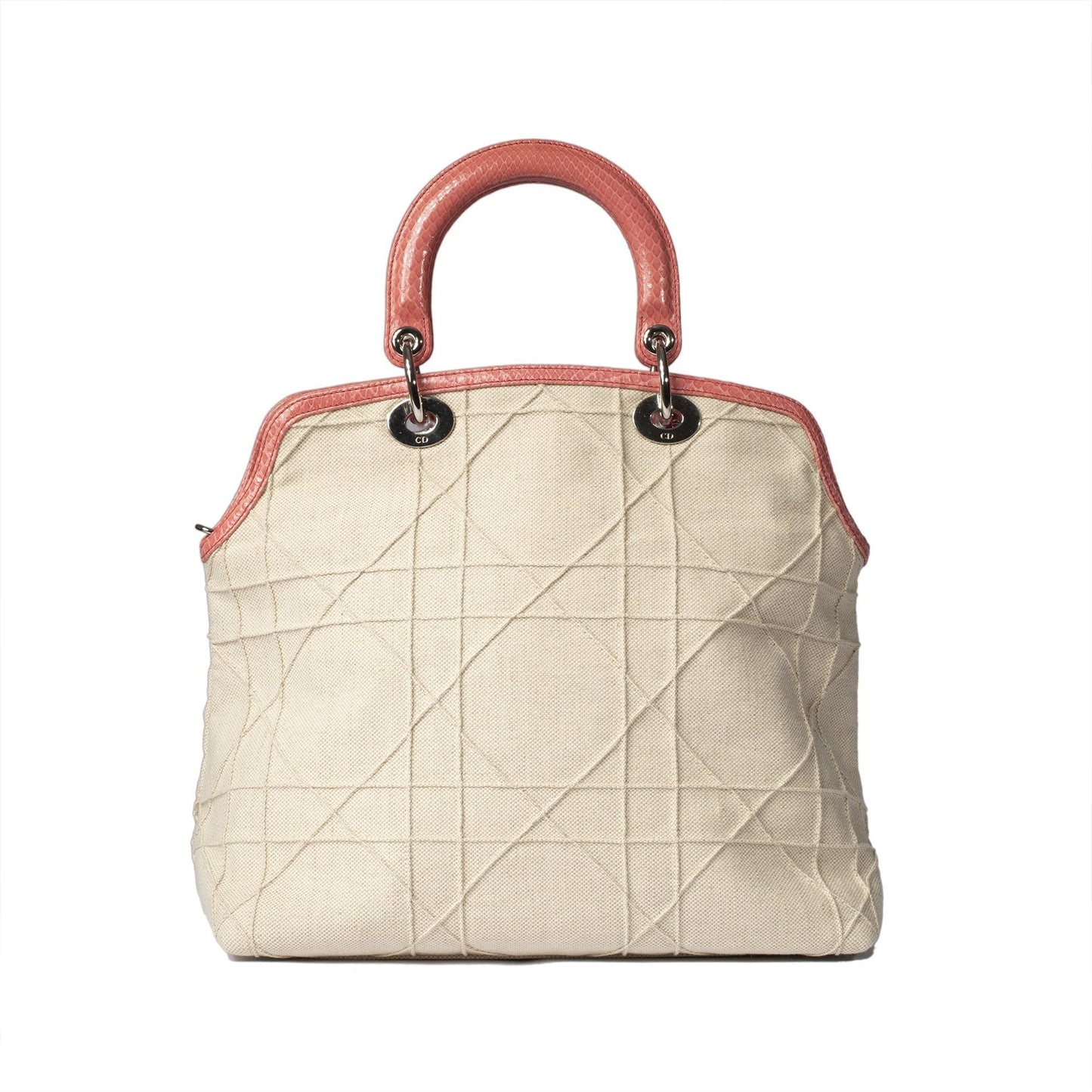 Dior Christian Limited Edition And Python Granville Bag Canvas Travel Bag