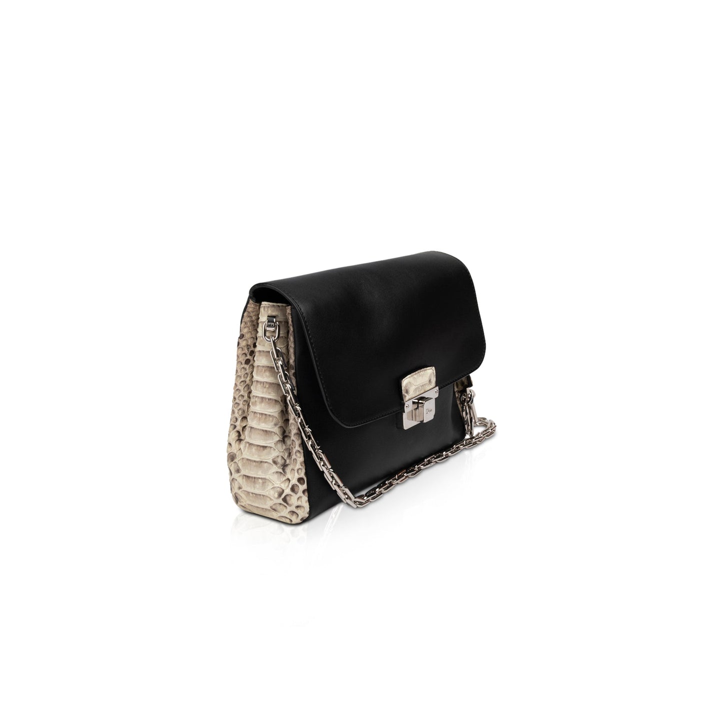 Dior Christian Python Trimmed ling Bag Travel Bag