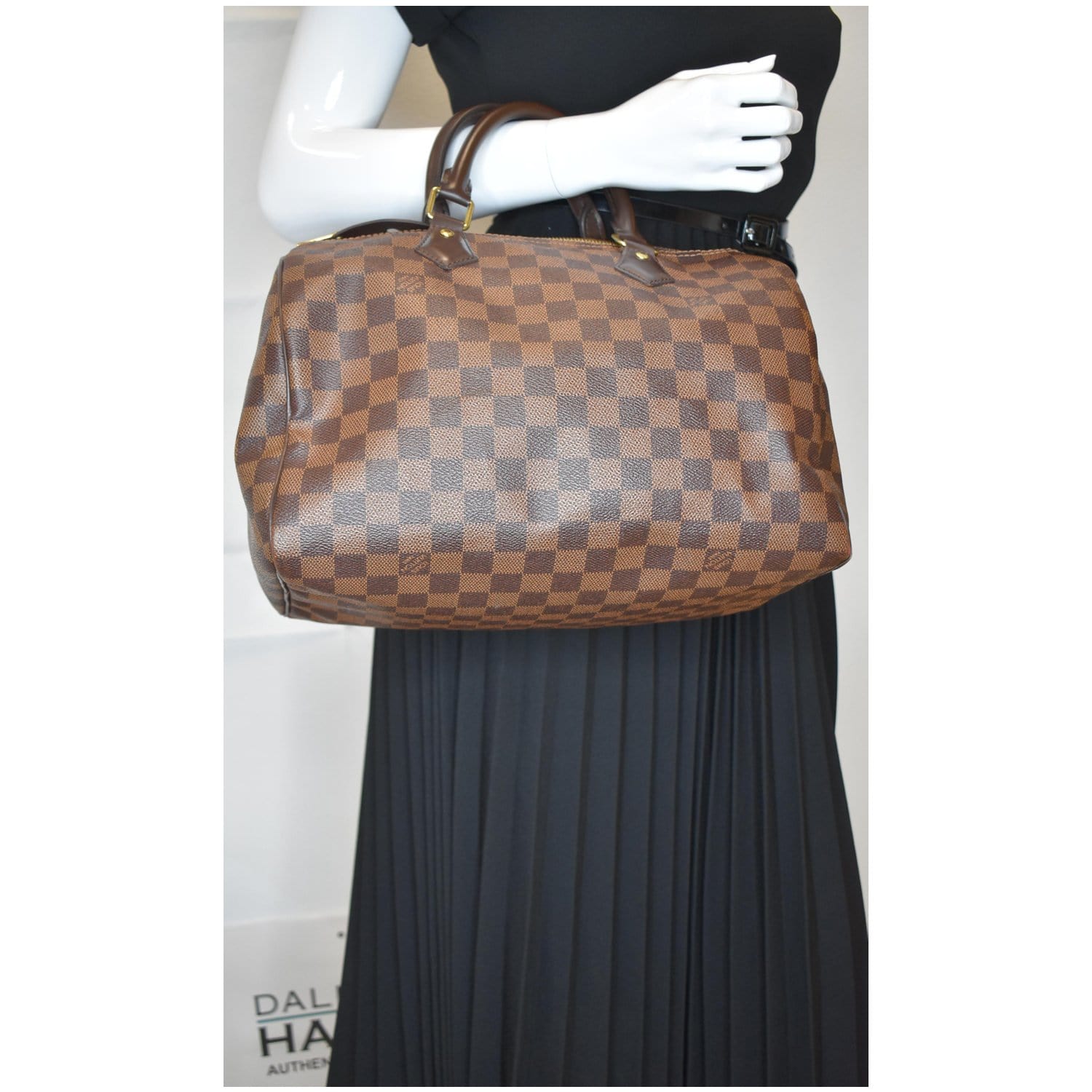 Louis Speedy Damier Ebene Satchel Bag Brown Travel Bag