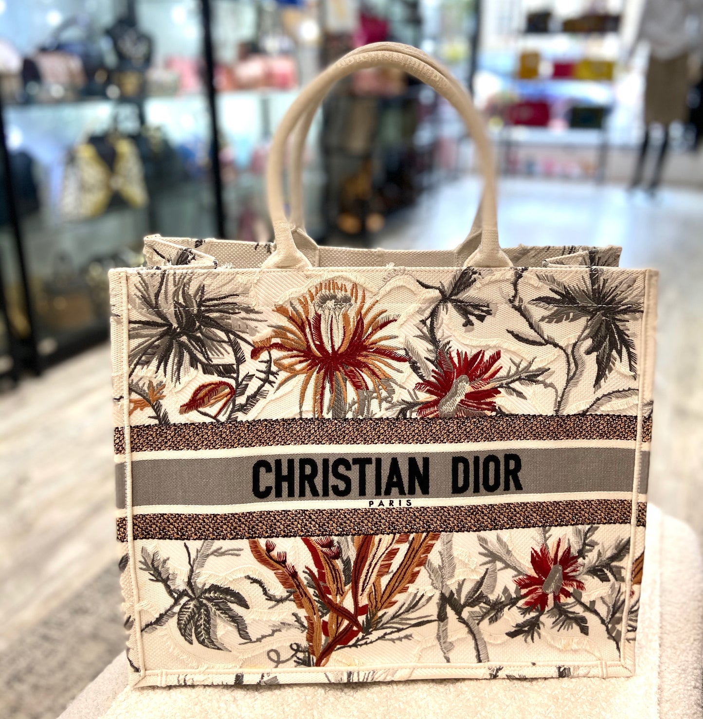 Dior De Jouy Book Tote Bag