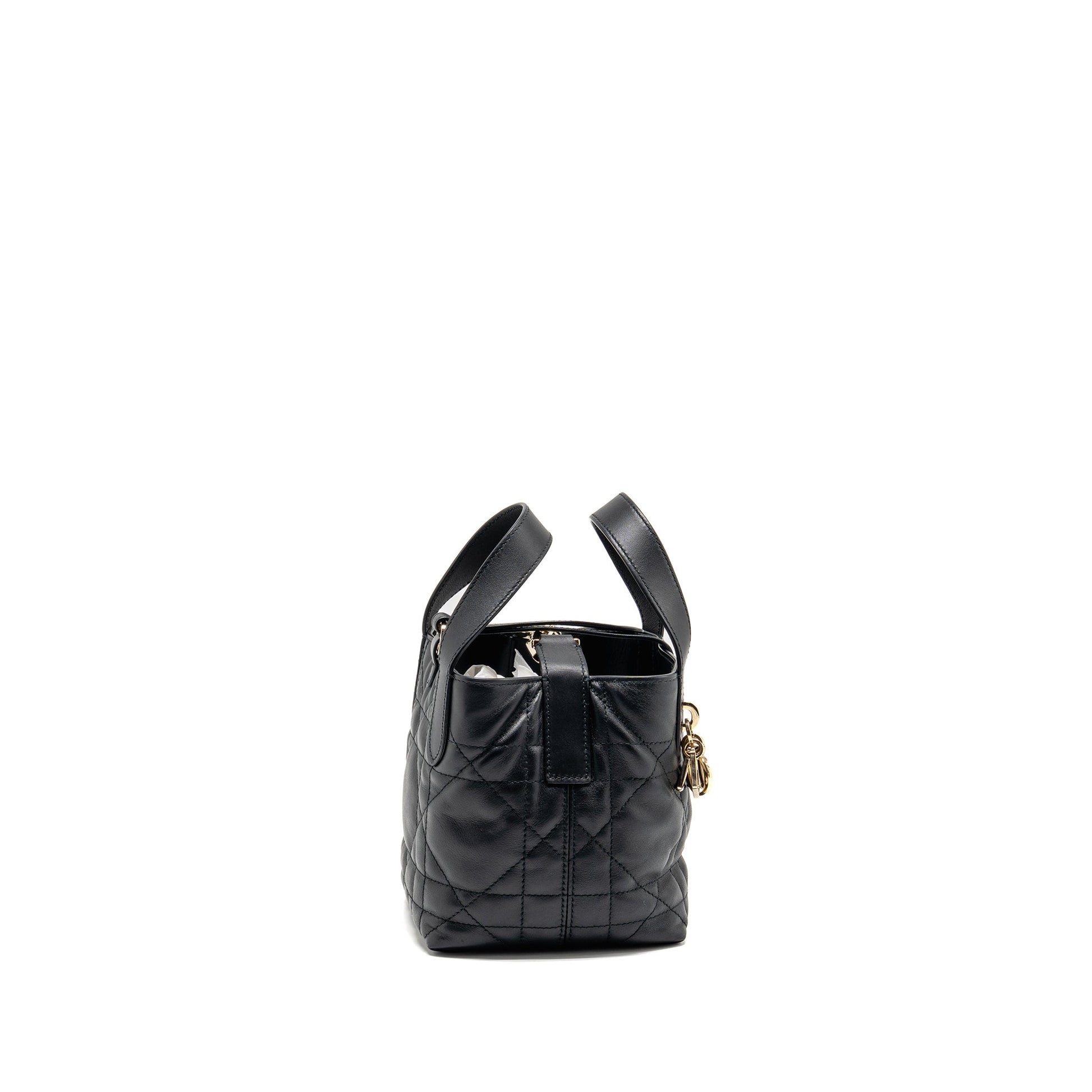 Dior Toujours Vertical Nano Tote Purse Calfskin Handbag Black Tote Bag