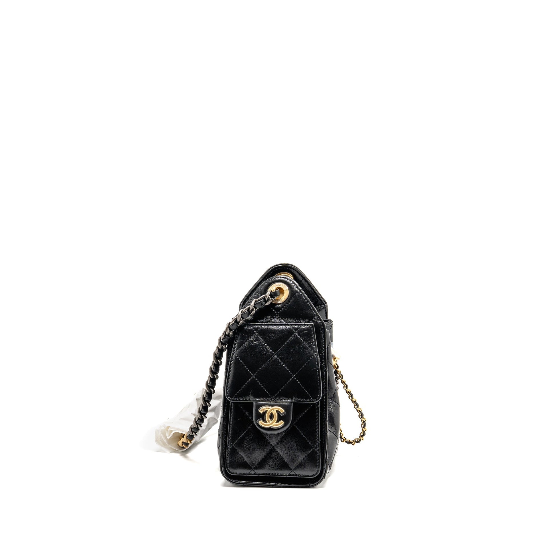 Chanel 25 Aged calfskin Hardware microchip Multicolour Black Mini Bag