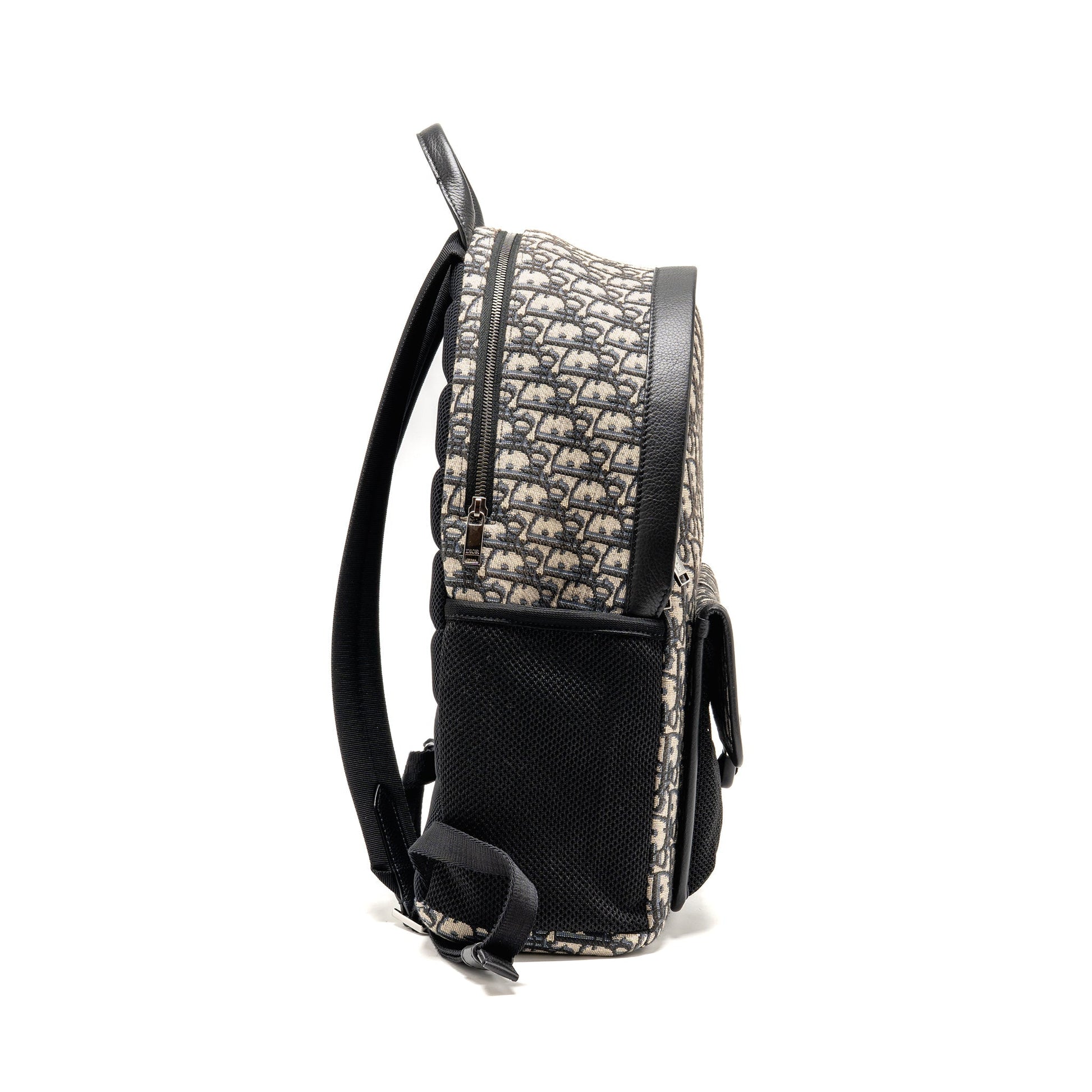 Dior MenâS Backpack Oblique Calfskin Handbag Canvas Black