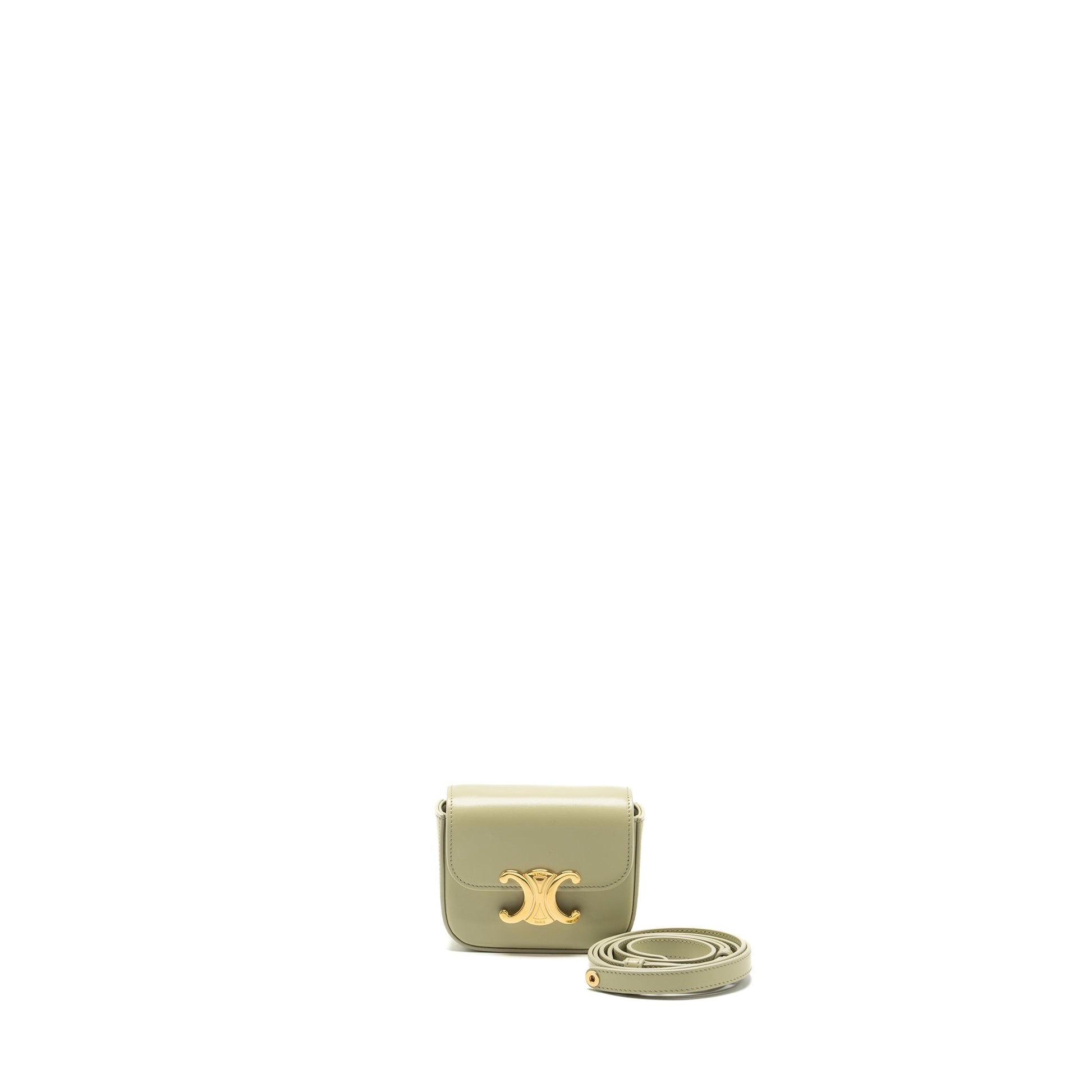 Celine Claude Shiny Calfskin Pistachio Handbag Mini Travel Bag