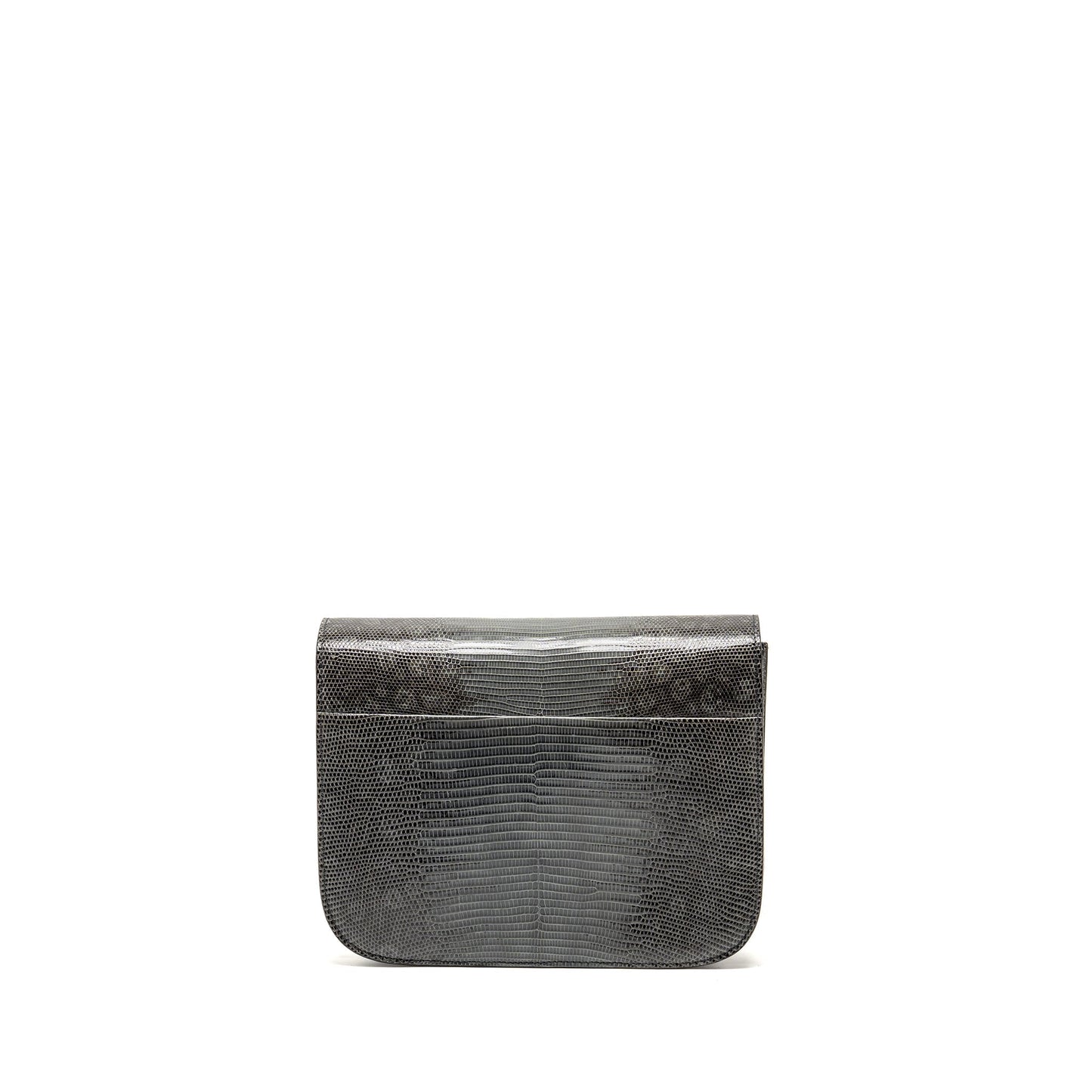 Luxury Classic Box Bag Lizard Grey Ghw Medium Travel Bag