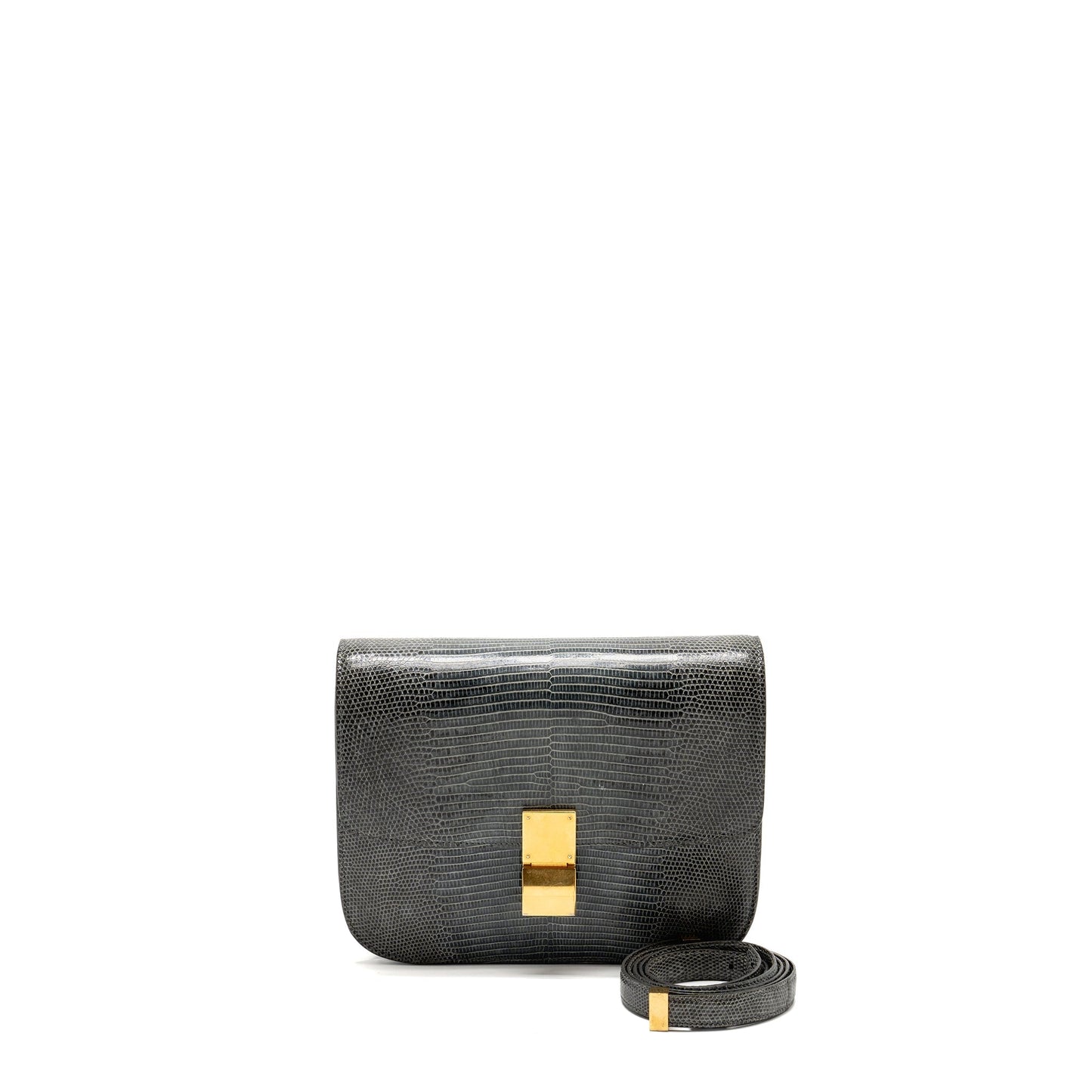 Luxury Box Bag Lizard Grey Ghw Medium Travel Bag