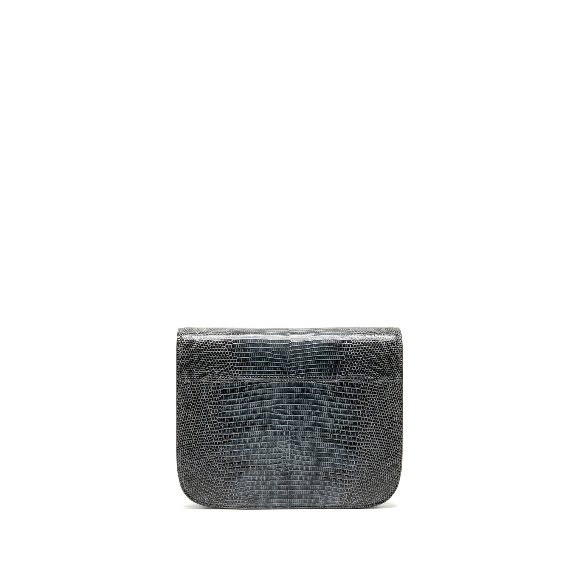 Luxury Box Bag Lizard Grey Ghw Medium Travel Bag