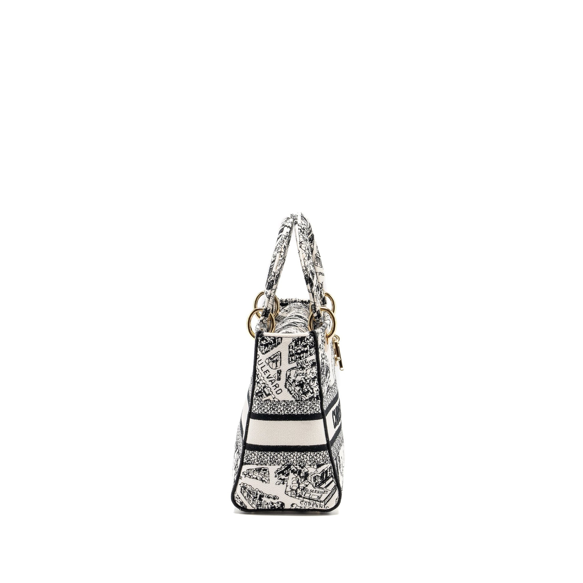 Dior Medium Lady D Lite Purse Plan De Canvas Black Travel Bag