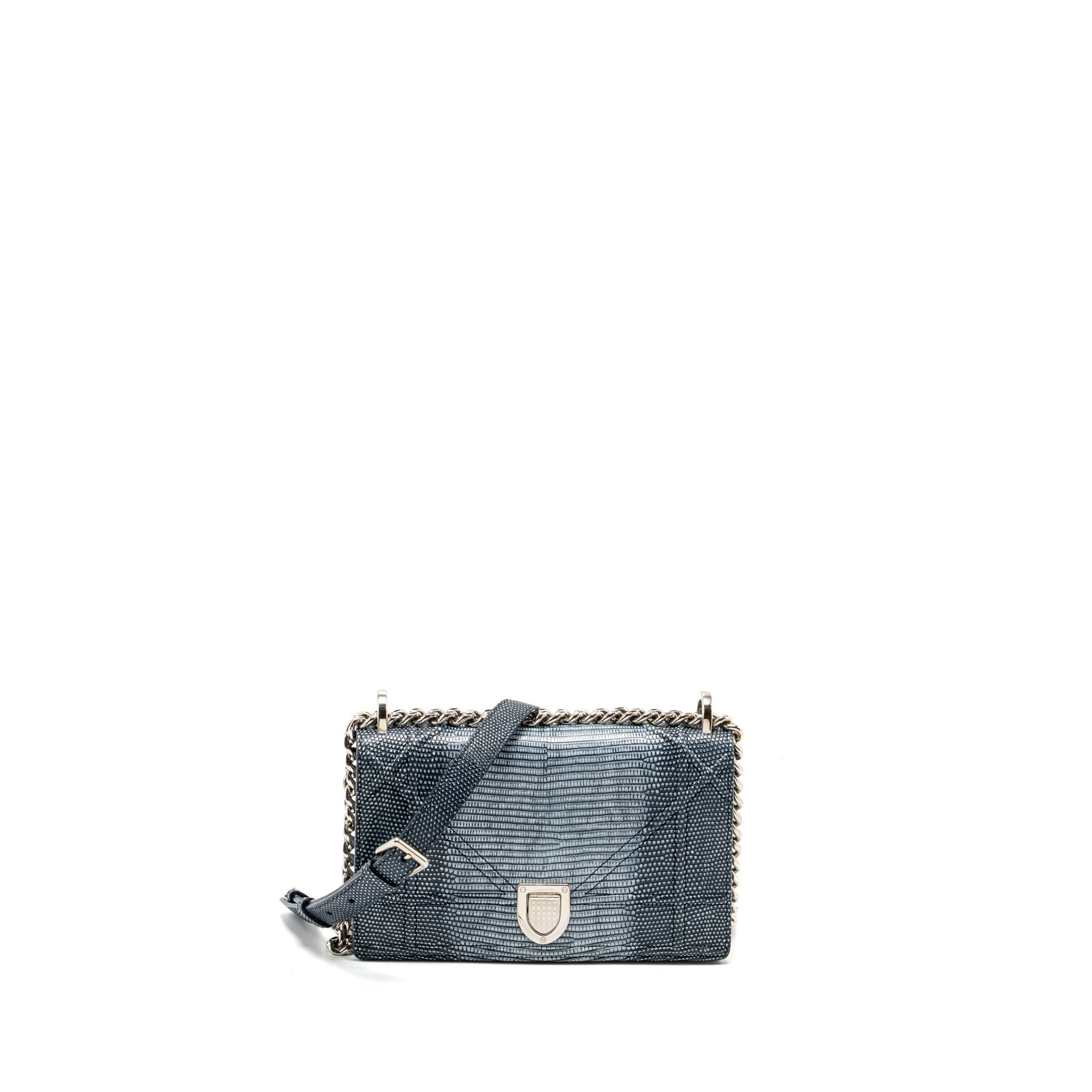 Dior ama Lizard Multicolour Handbag Silver Small Travel Bag