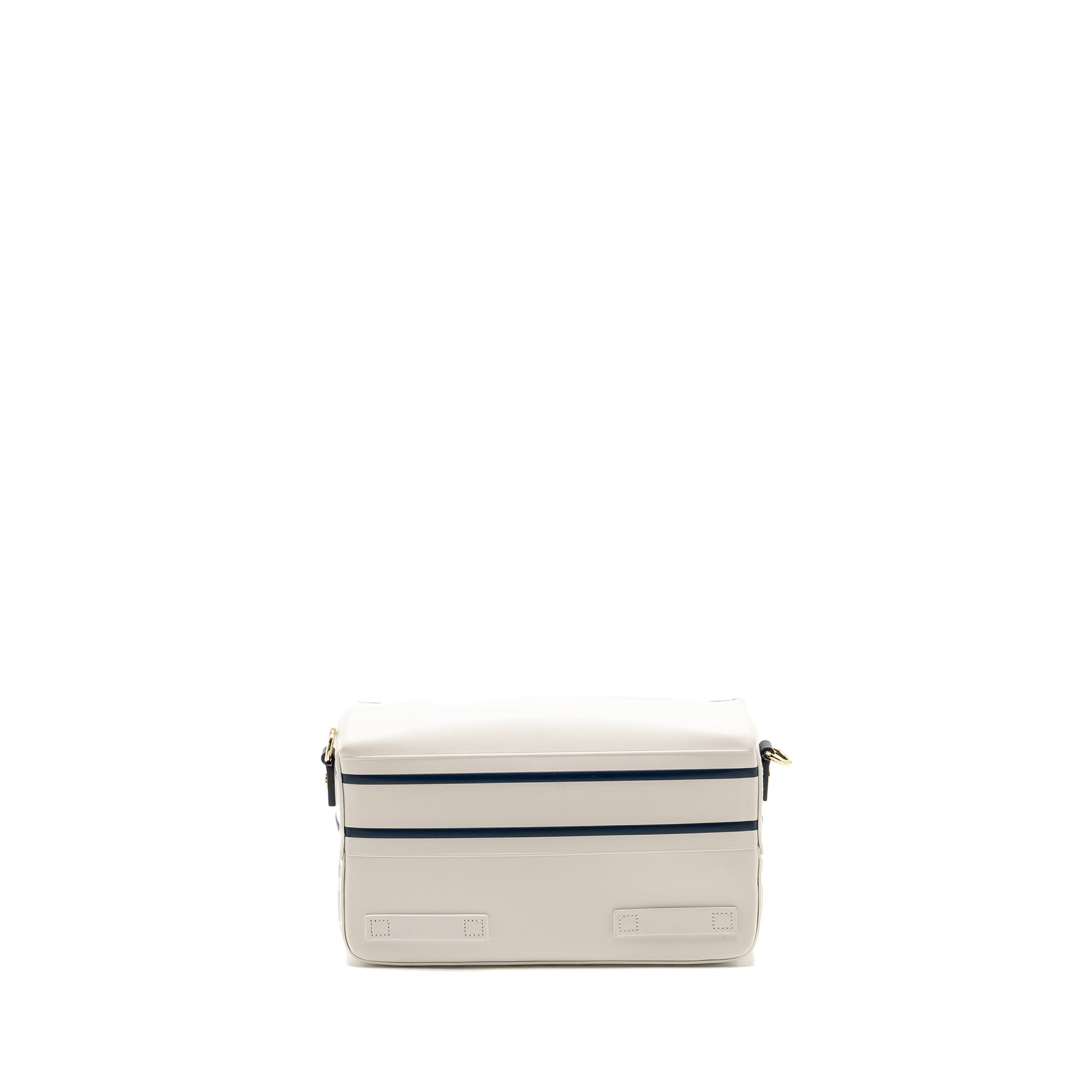 Dior camp Purse Calfskin Handbag White Small Travel Bag