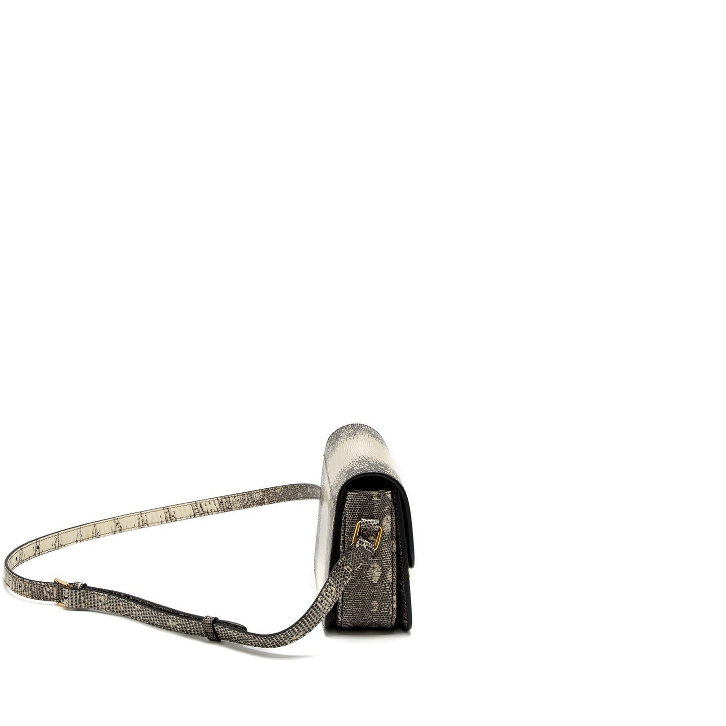 Celine Teen Triomphe Purse Lizard Natural Colour Handbag Travel Bag