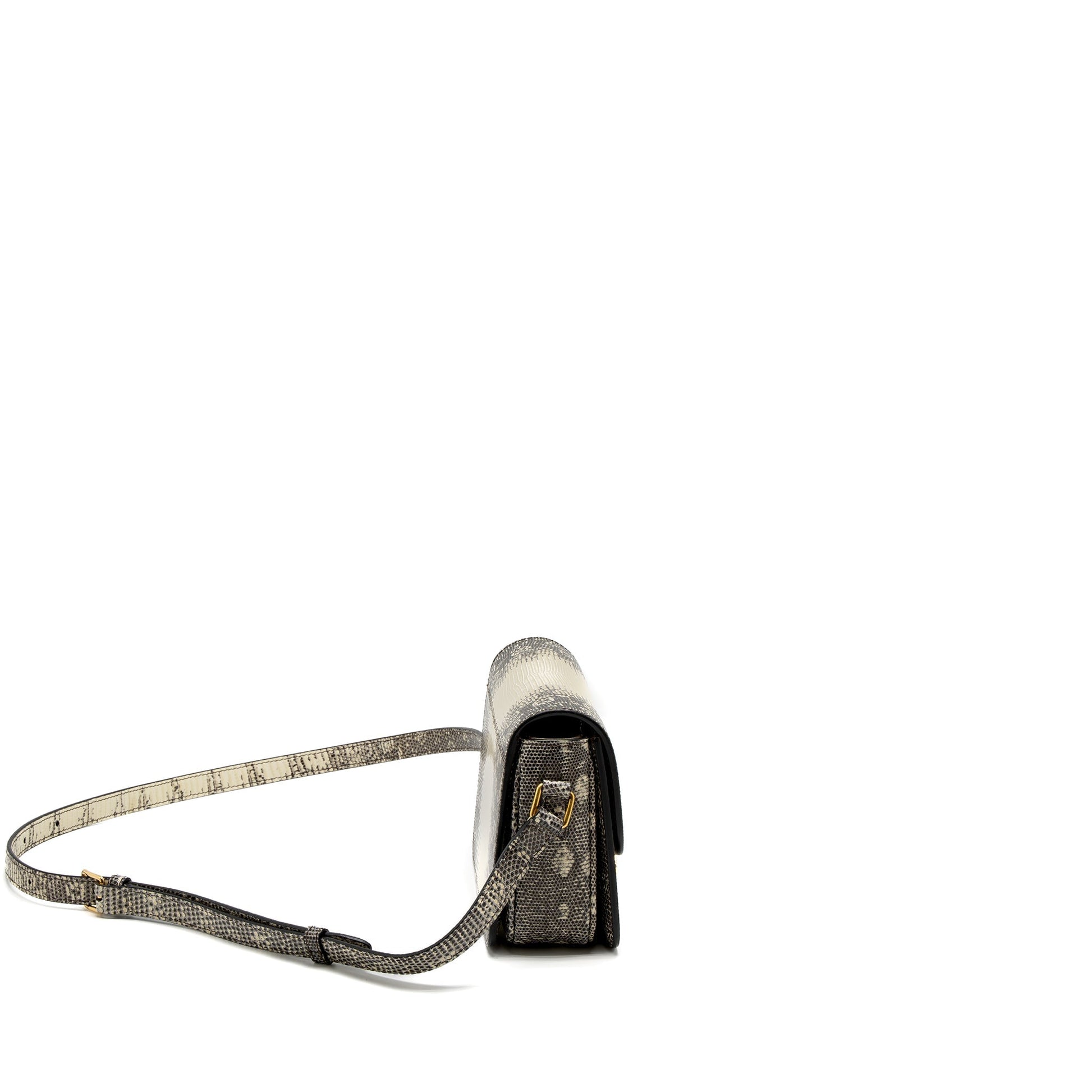 Celine Teen Triomphe Purse Lizard Natural Colour Handbag Travel Bag