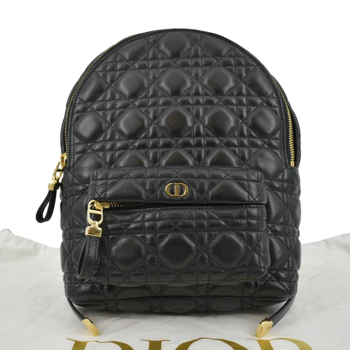 Dior Cannage Backpack Handbag Leather Quilted